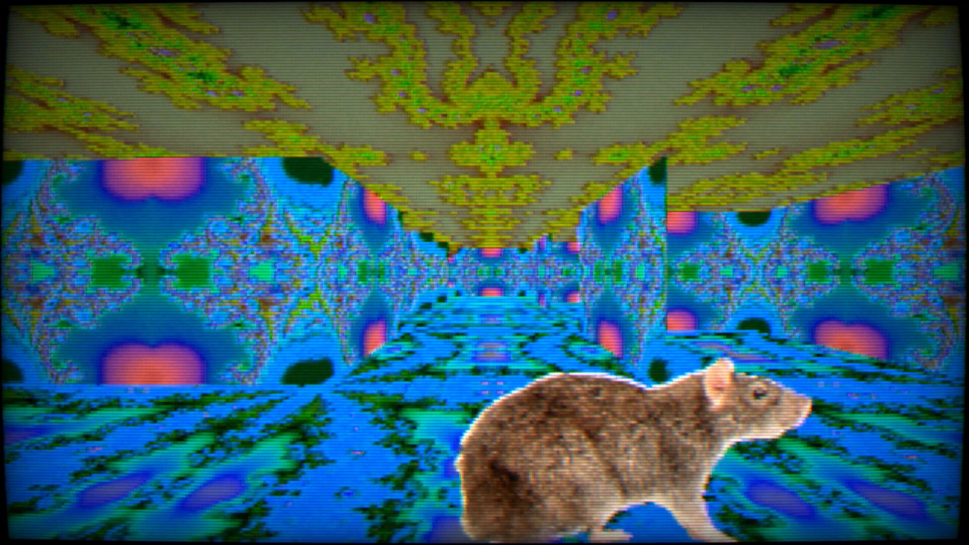 Maze 95 Ultimate screenshot 4