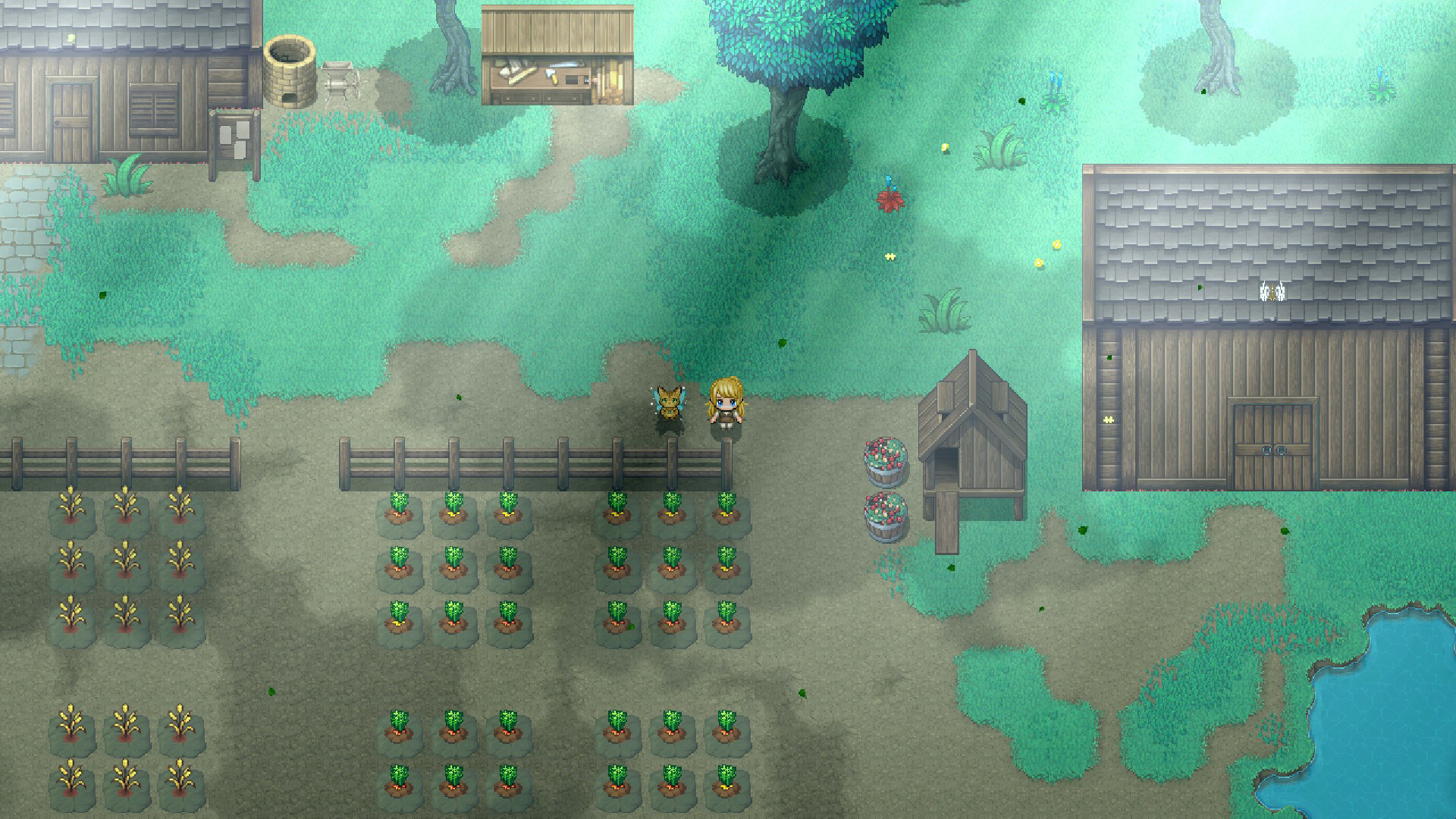 Pirate & Darkmage screenshot 8