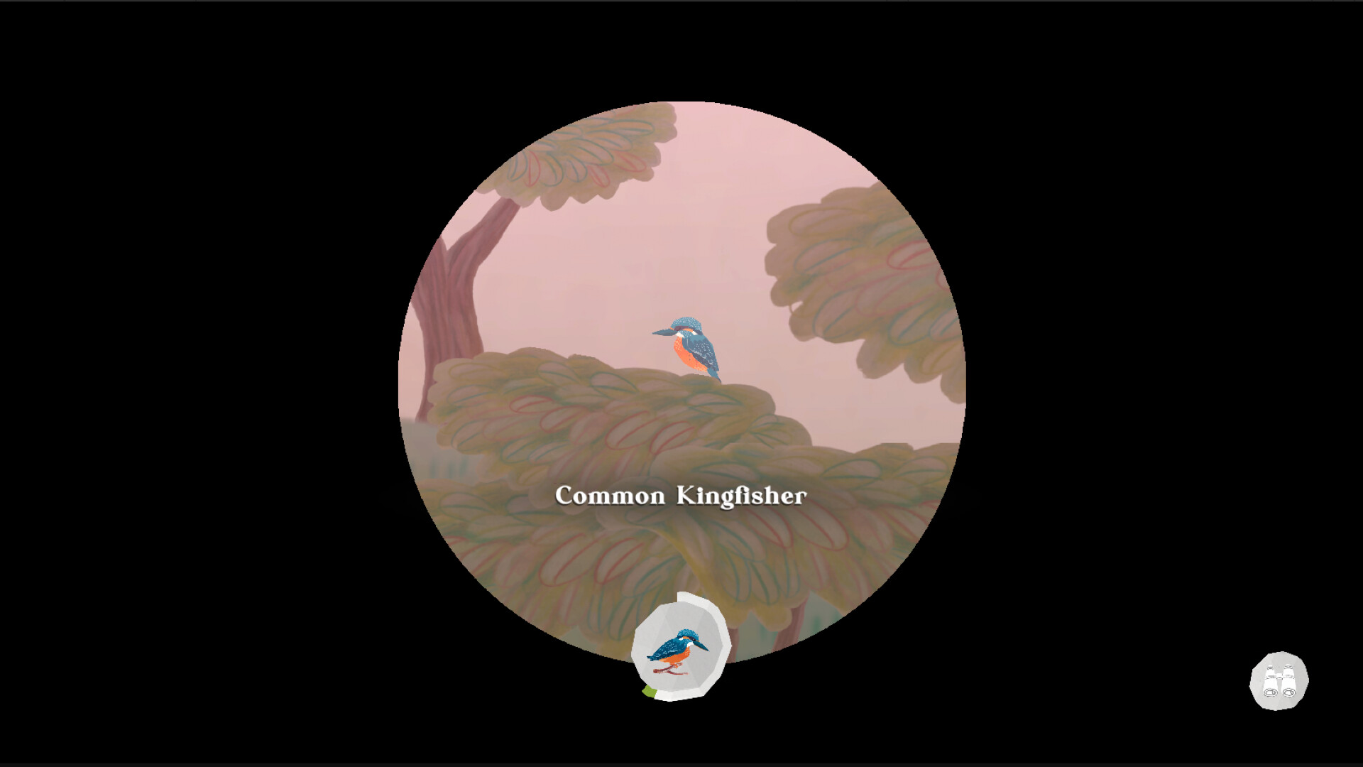 Junior Birder Adventure screenshot 3