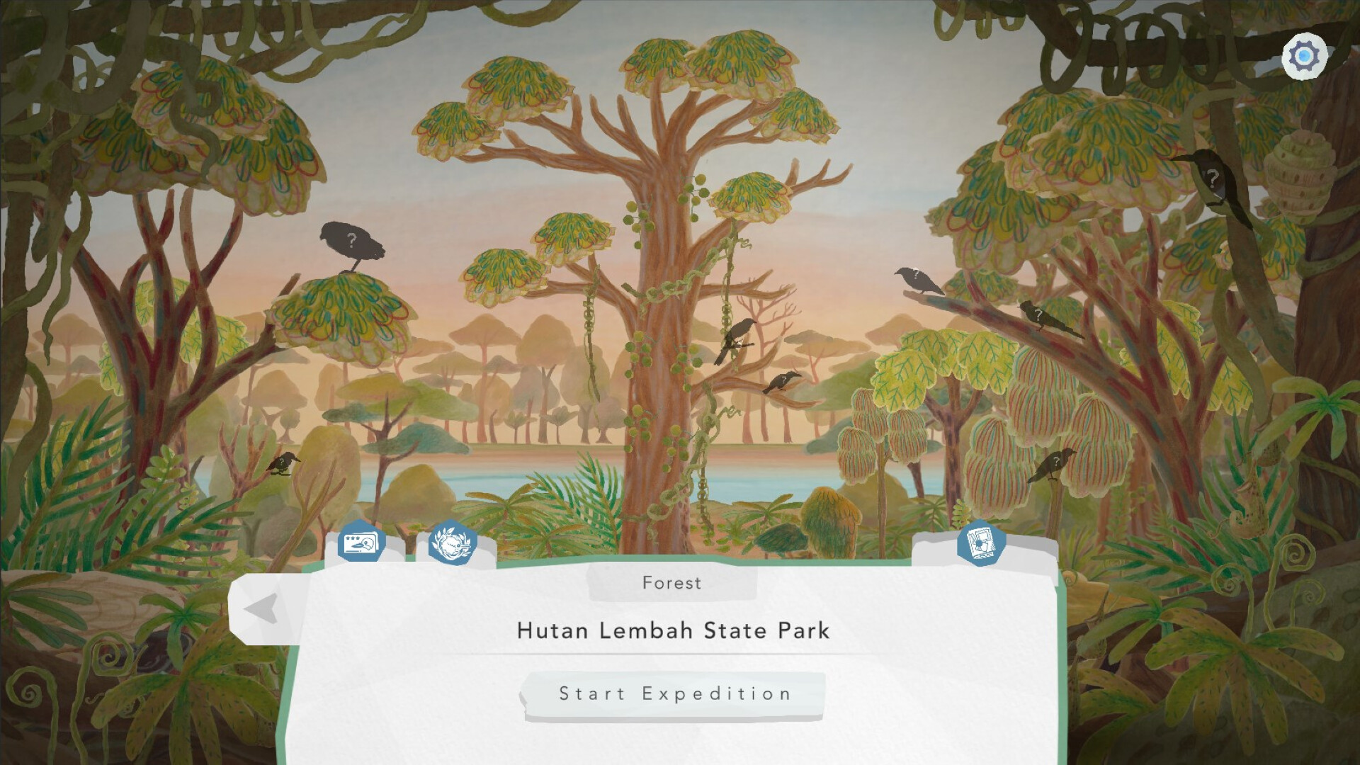 Junior Birder Adventure screenshot 13