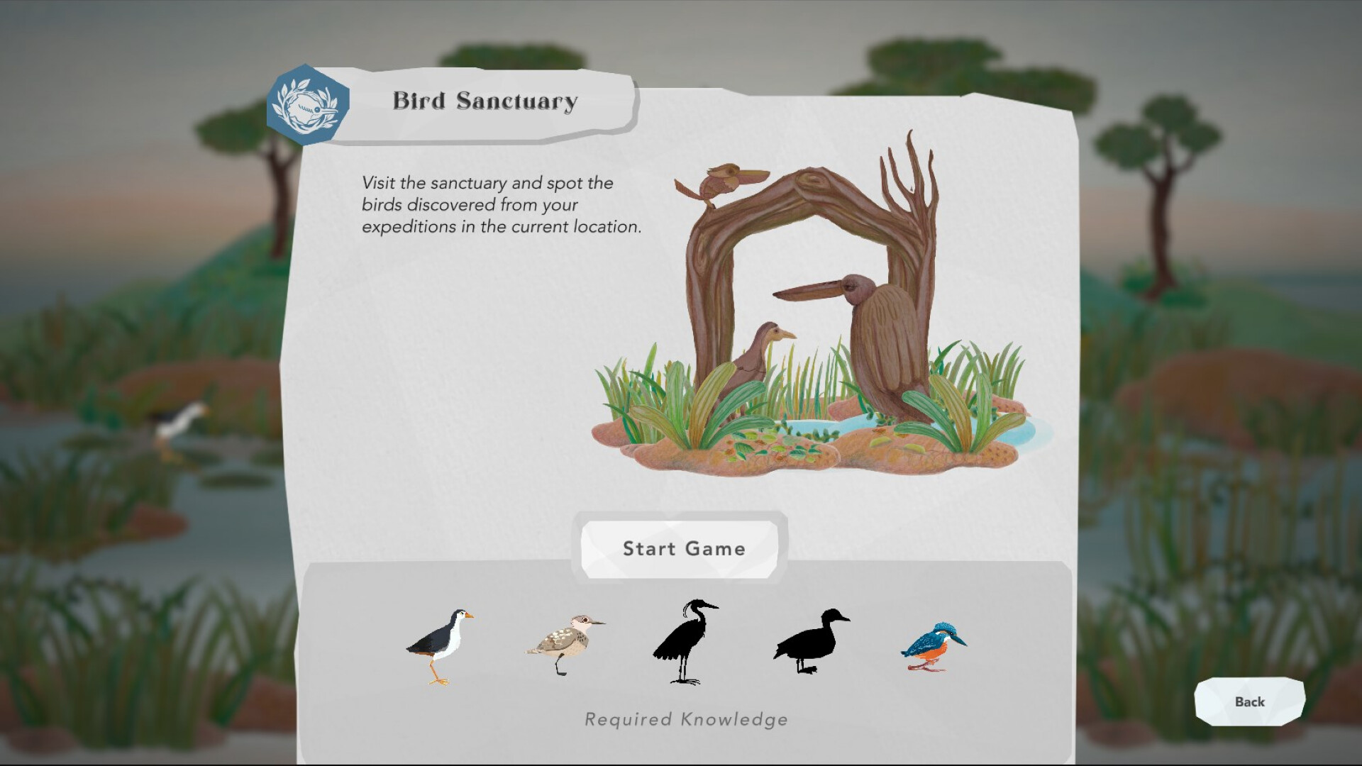 Junior Birder Adventure screenshot 9