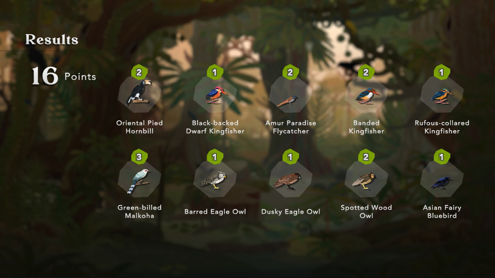 Junior Birder Adventure screenshot 17