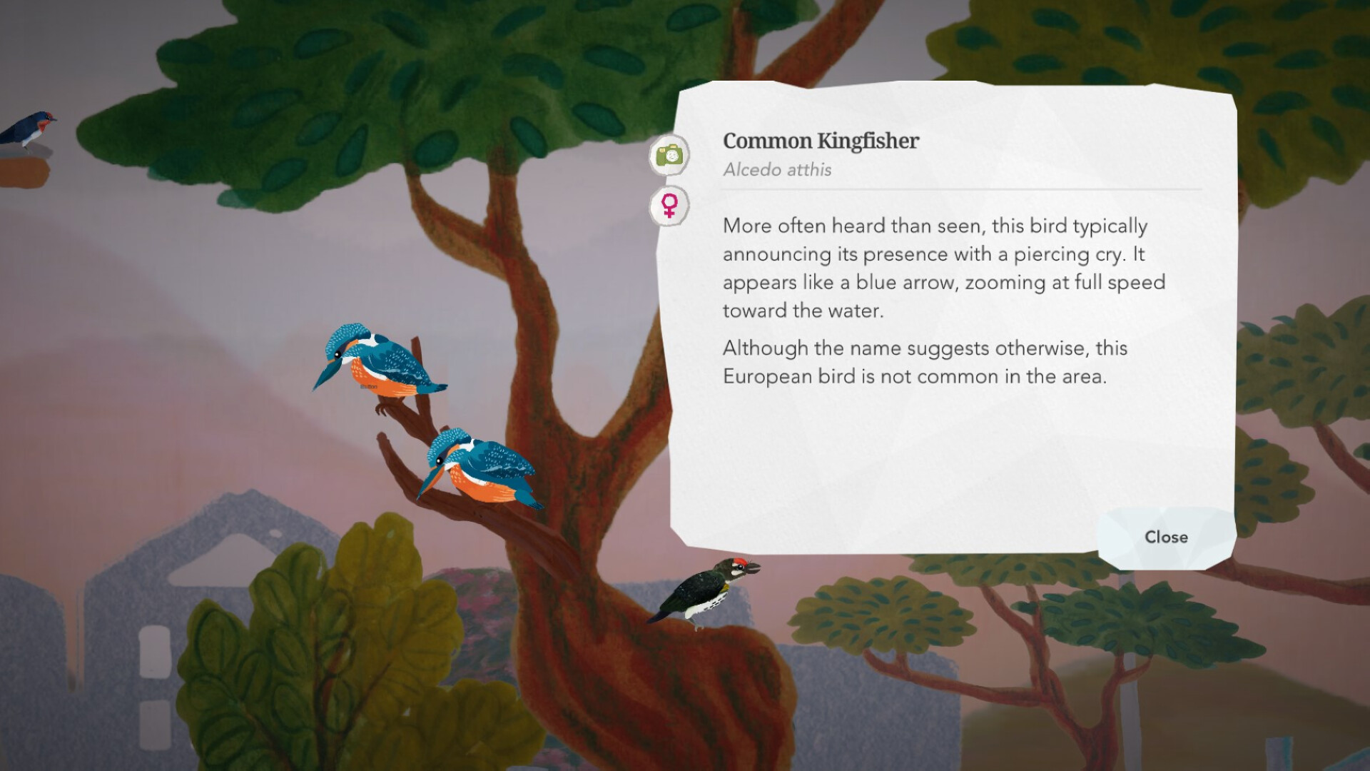Junior Birder Adventure screenshot 10