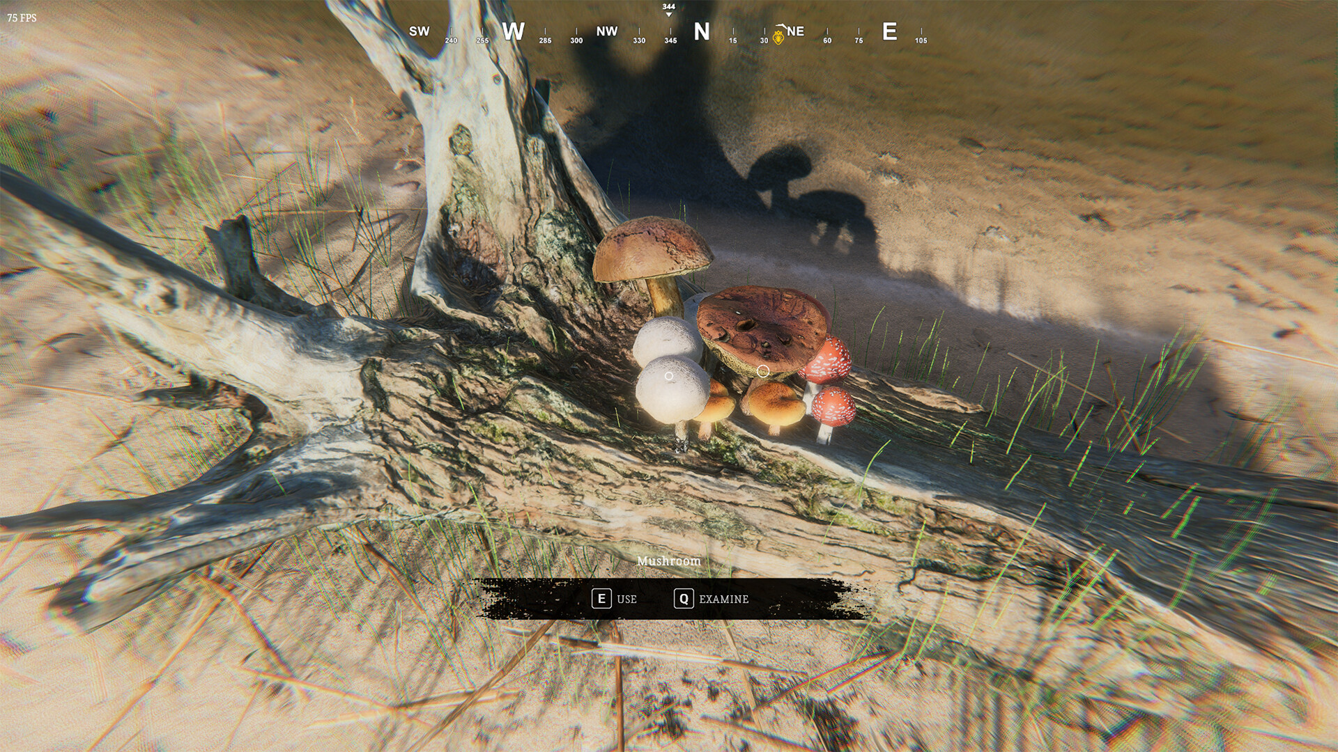 Far Beach: Desire Remains screenshot 2