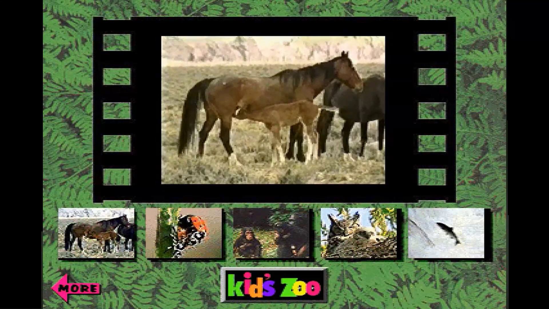 Kid's Zoo: A Baby Animal Adventure screenshot 7