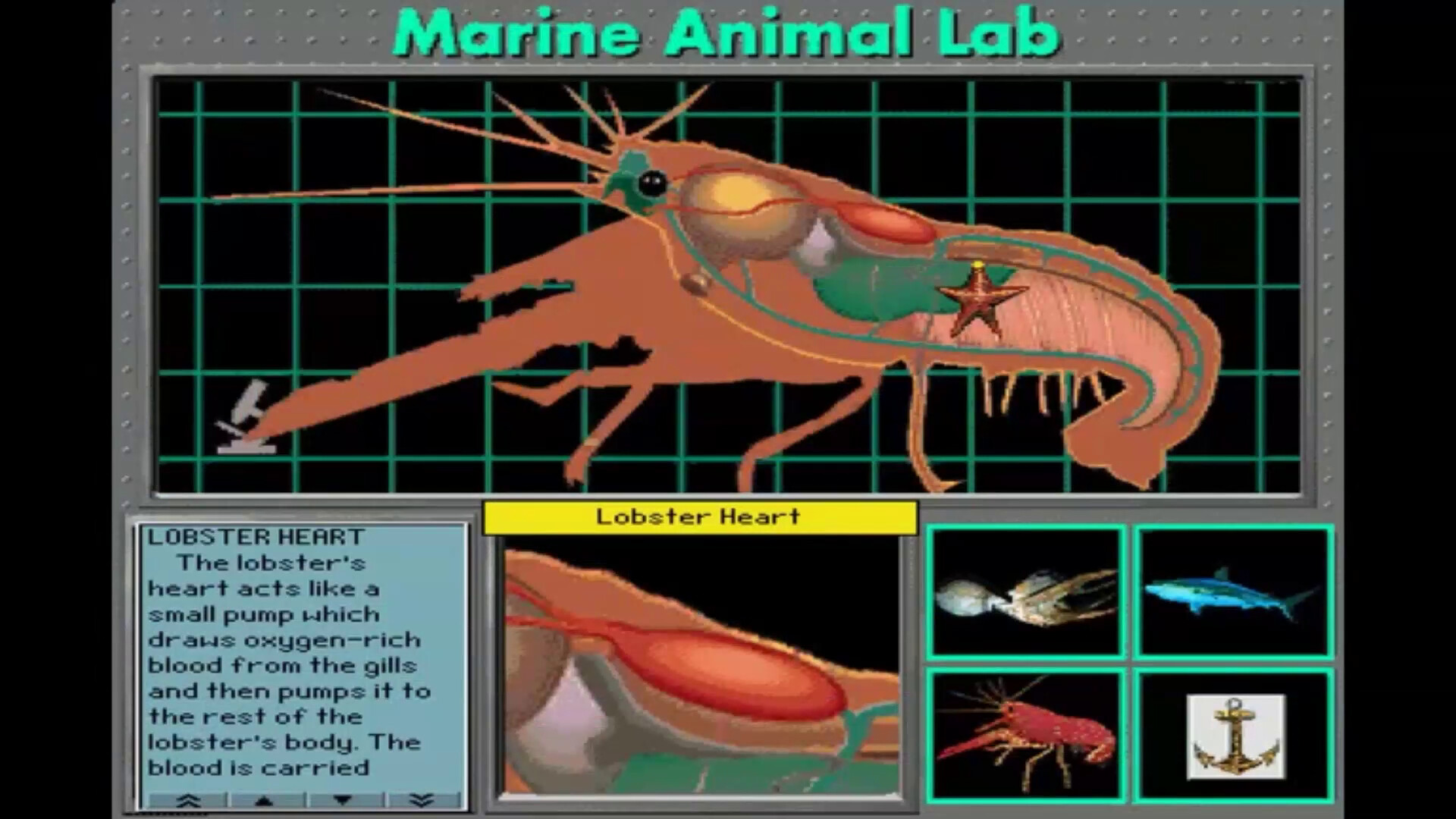 Undersea Adventure screenshot 4