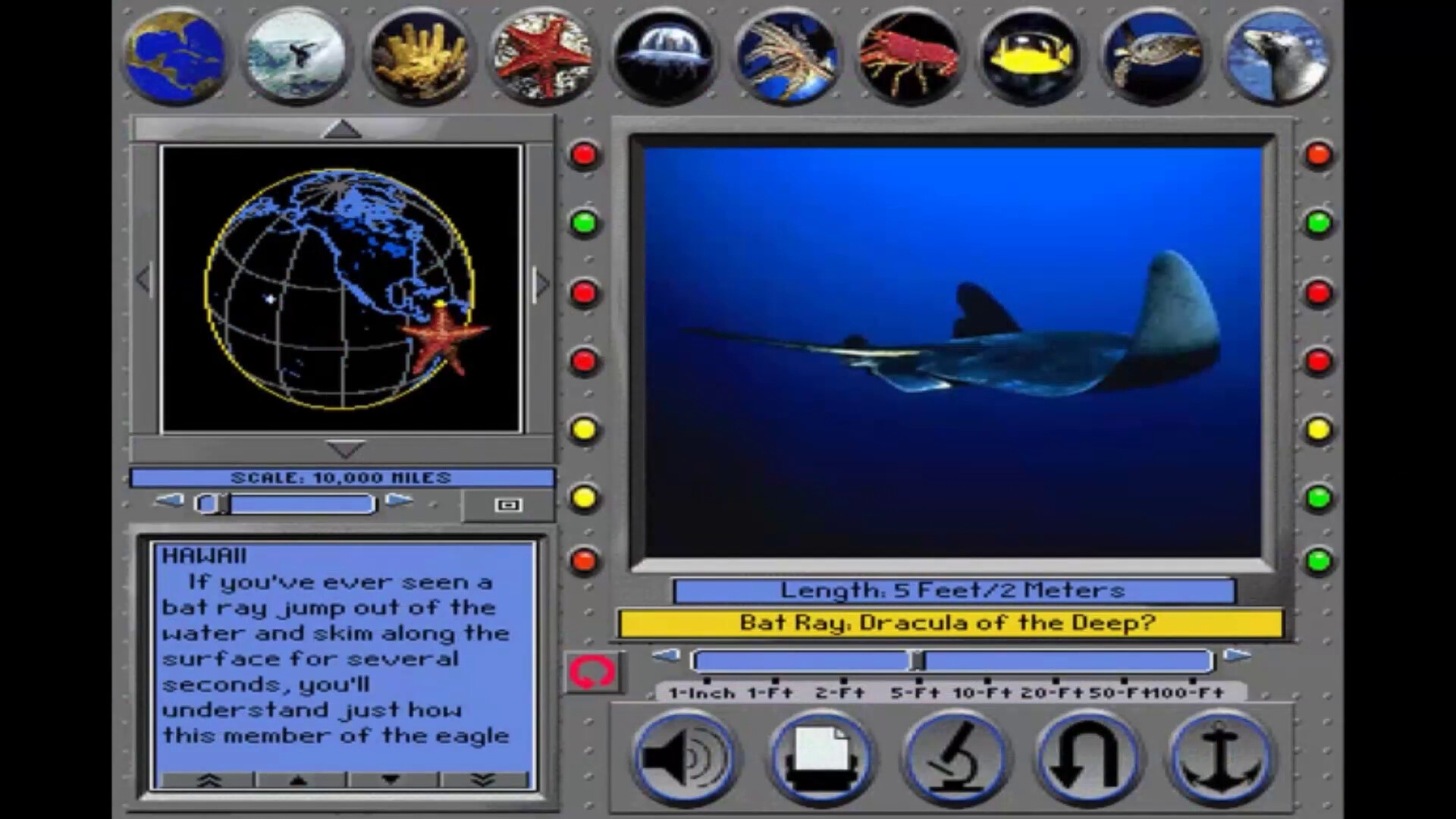 Undersea Adventure screenshot 3
