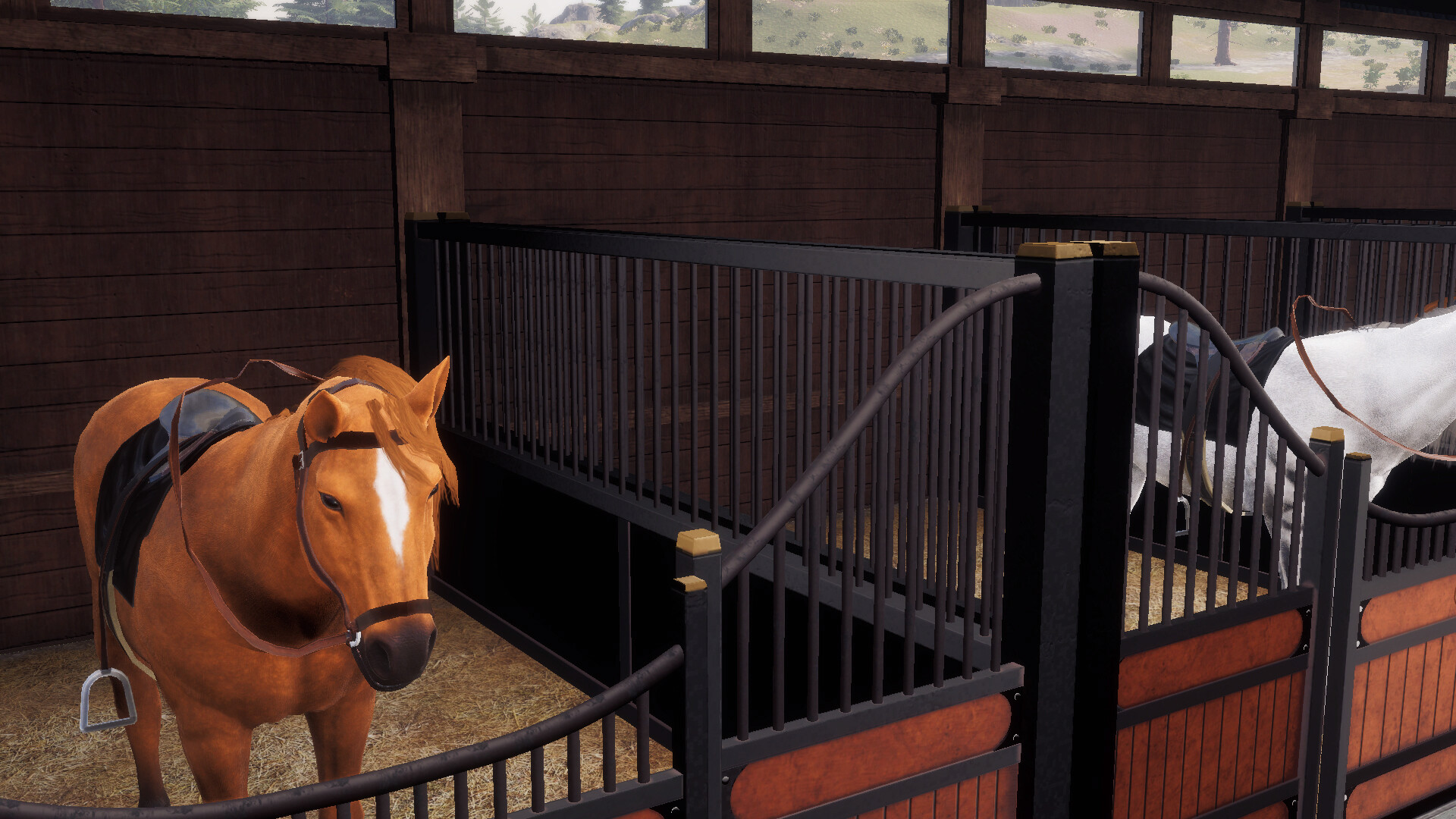 Derby Life: Ranch & Race screenshot 3