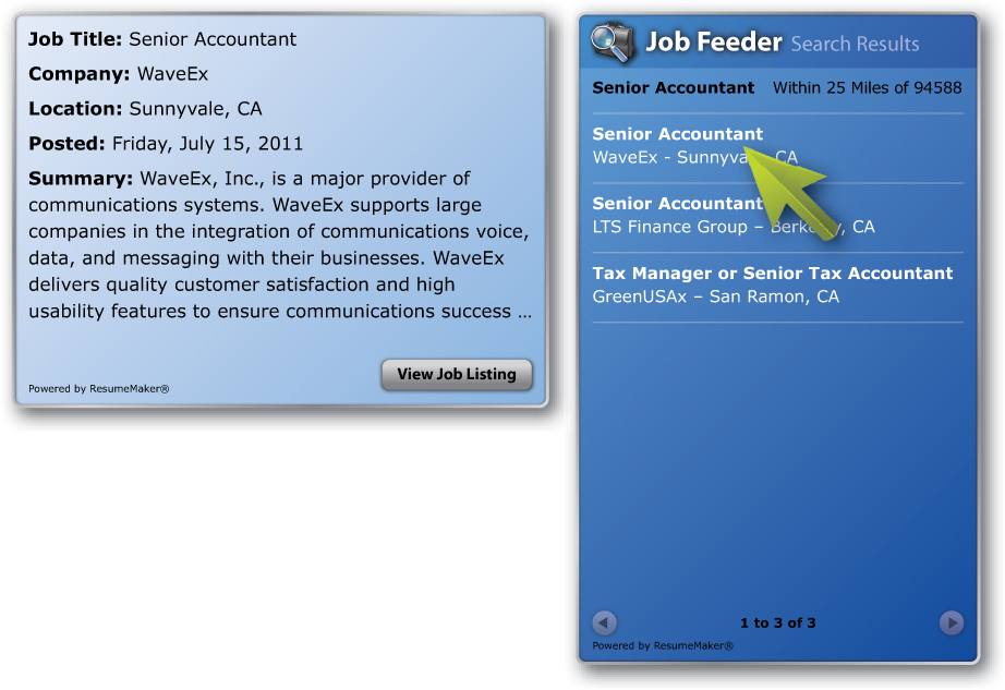 ResumeMaker® Professional Deluxe screenshot 5