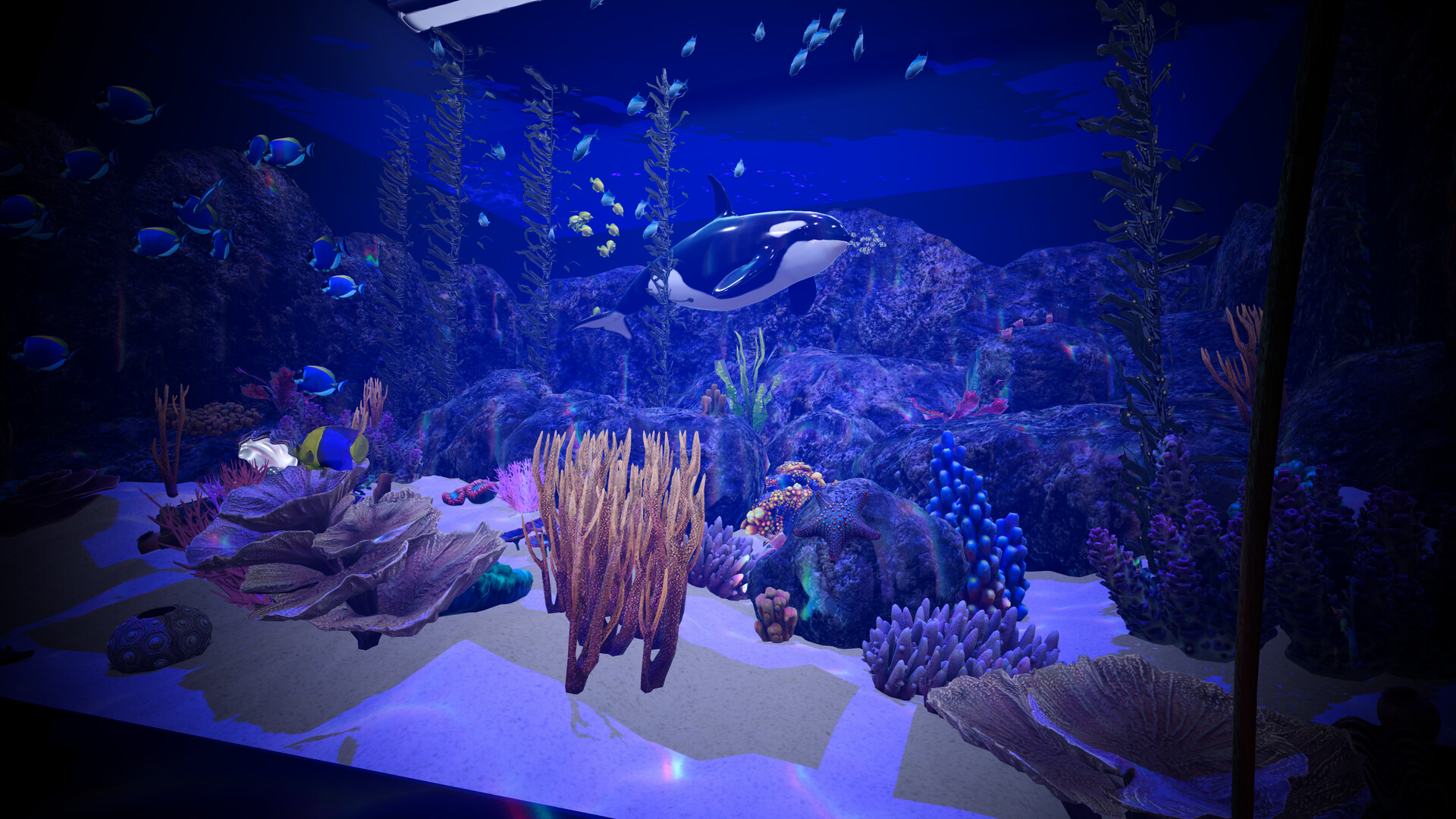 Aquarium Anomaly screenshot 6