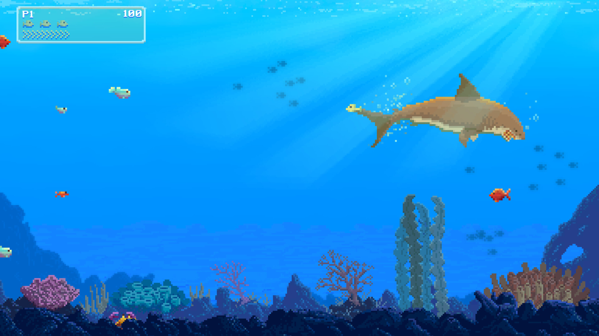Watch Out: Shark! screenshot 8