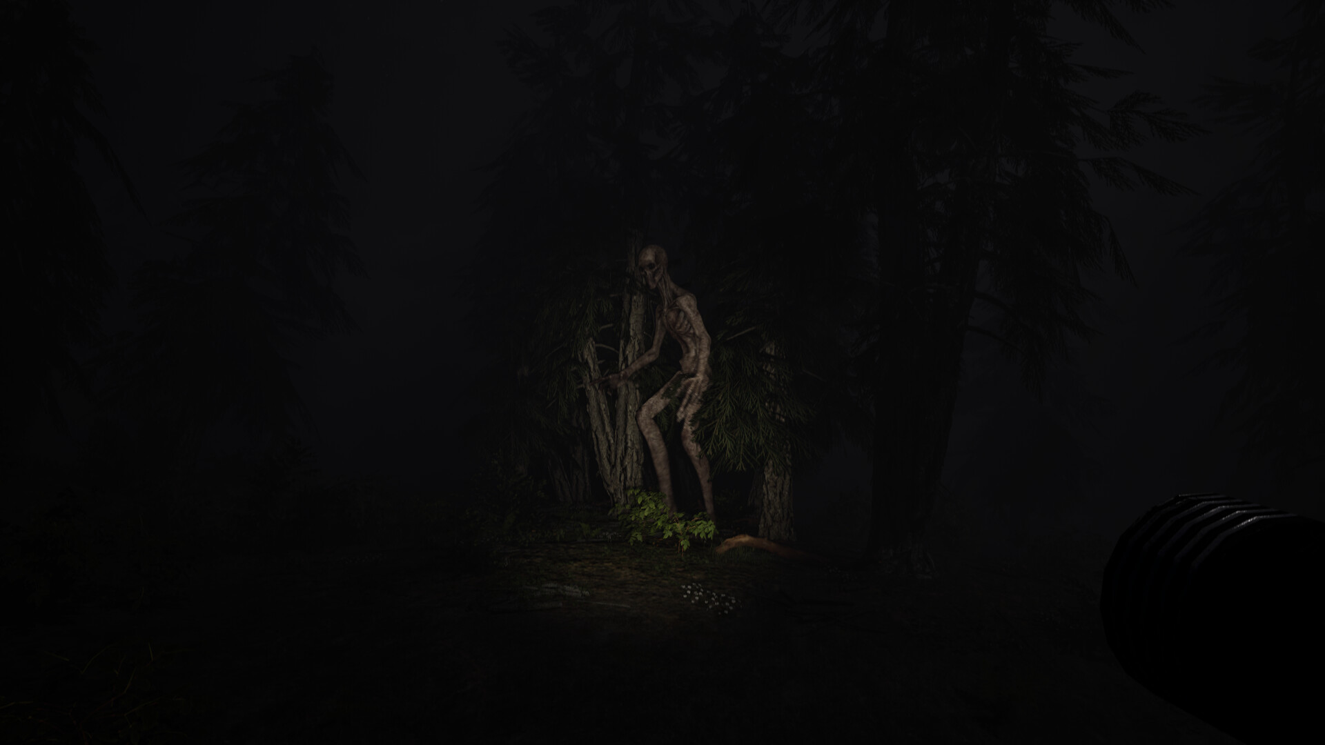 Echoes of Sin: Confusion screenshot 3