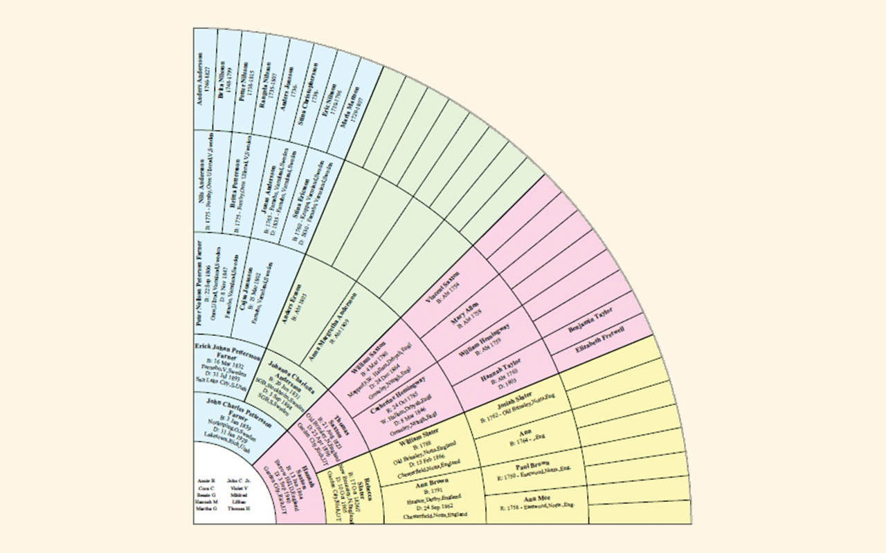 Family Tree Heritage Platinum 9 - Mac screenshot 5