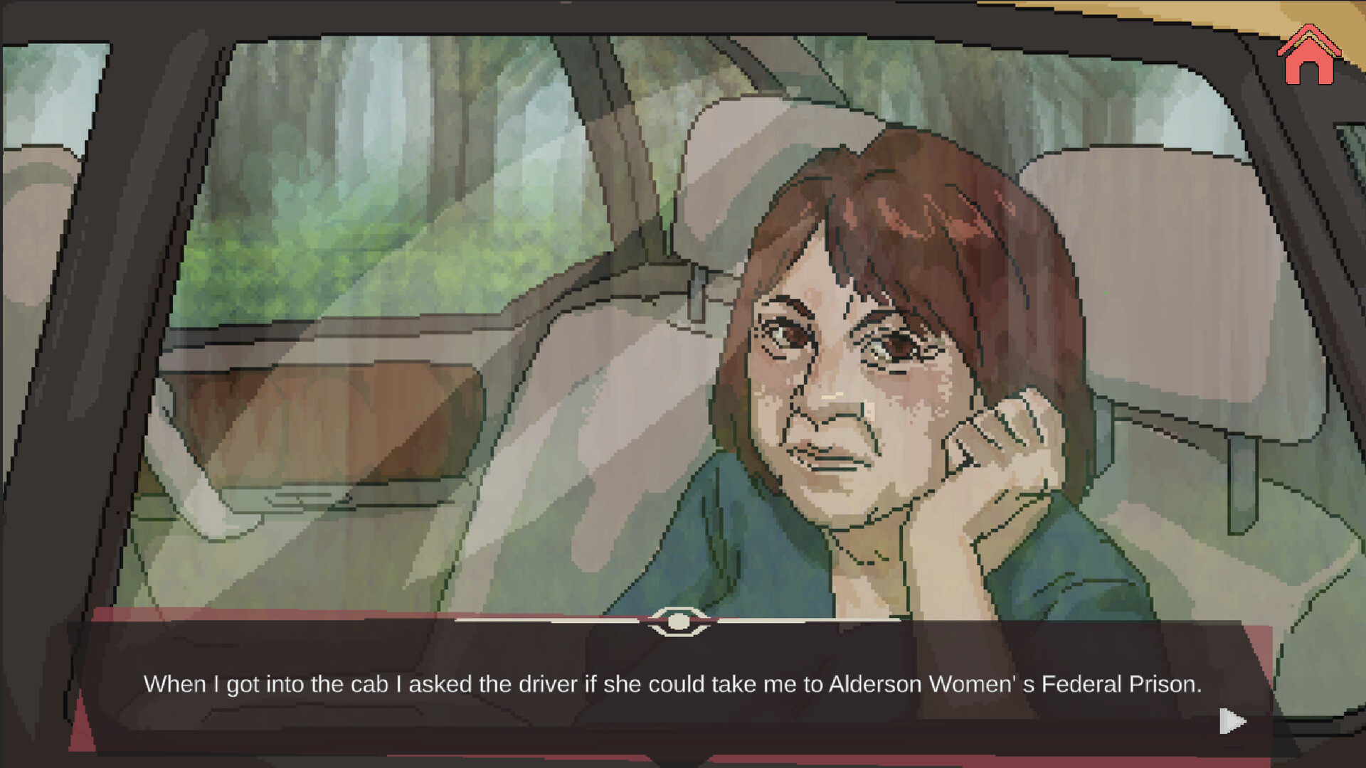 Witness To Mass Incarceration screenshot 2