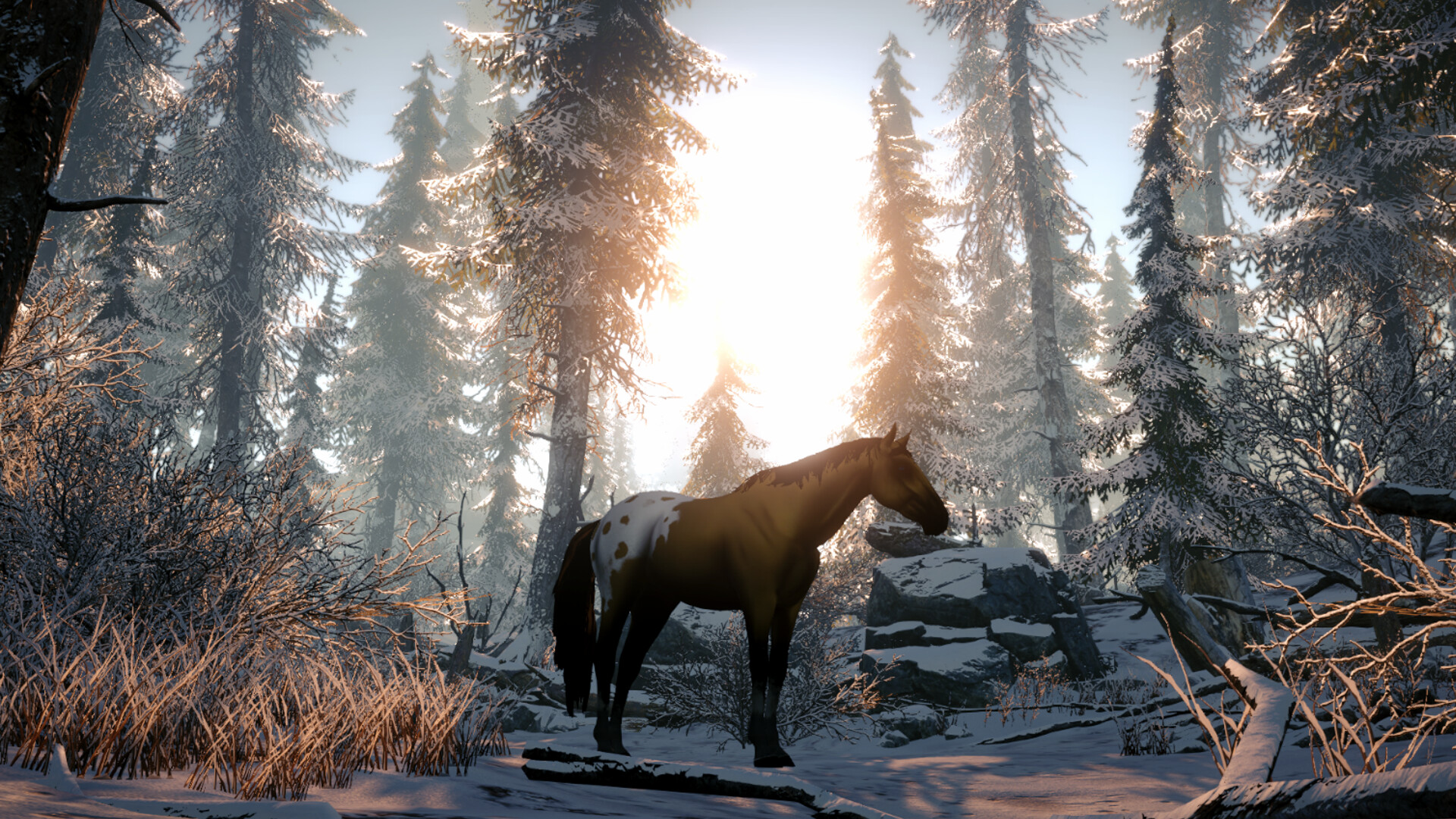 Galloping Dream screenshot 4