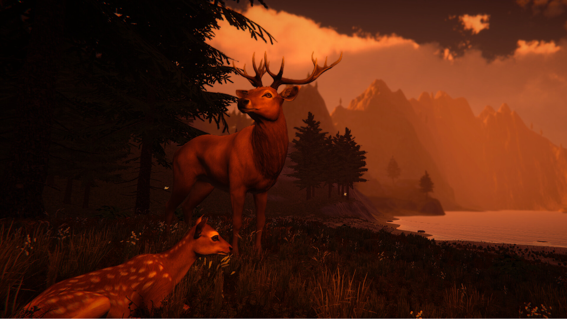 Galloping Dream screenshot 7