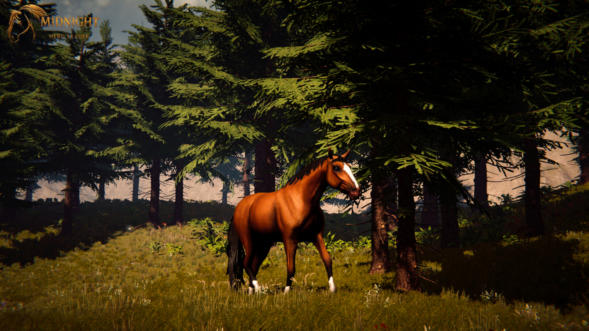 Galloping Dream screenshot 1