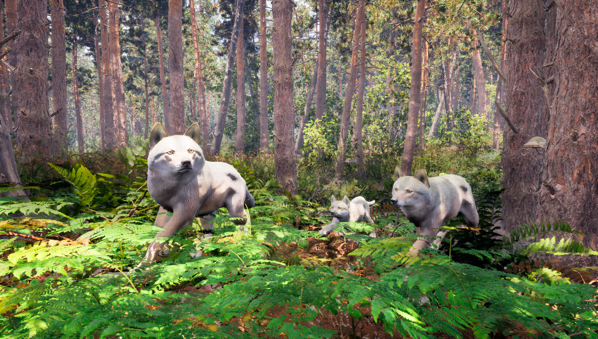 Susia - Wolf Life Simulator screenshot 3