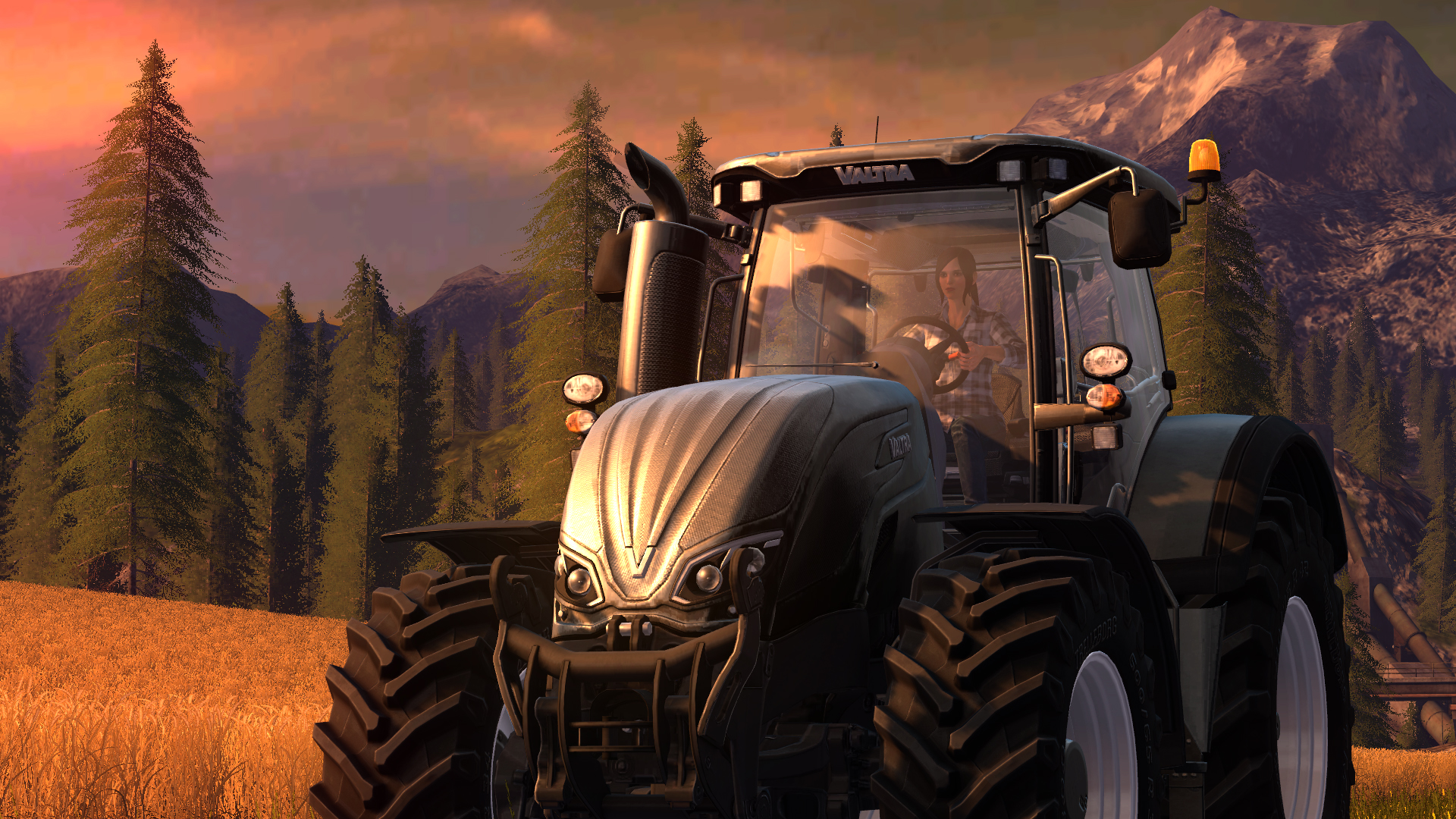 Farming Simulator 17 screenshot 6