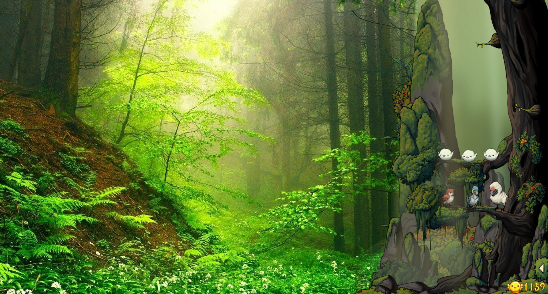 Fantasy Bird Woods screenshot 1