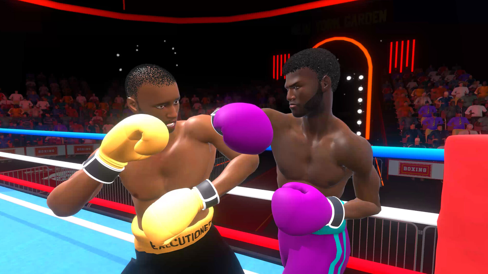 Pro Sports Boxing screenshot 1