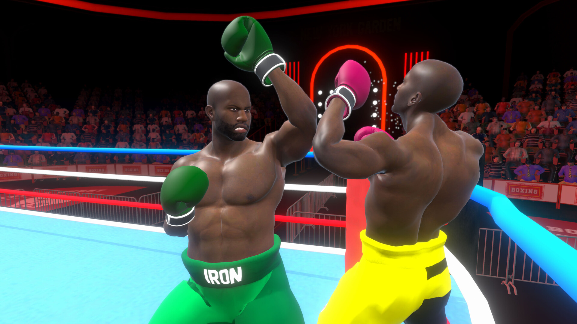 Pro Sports Boxing screenshot 9