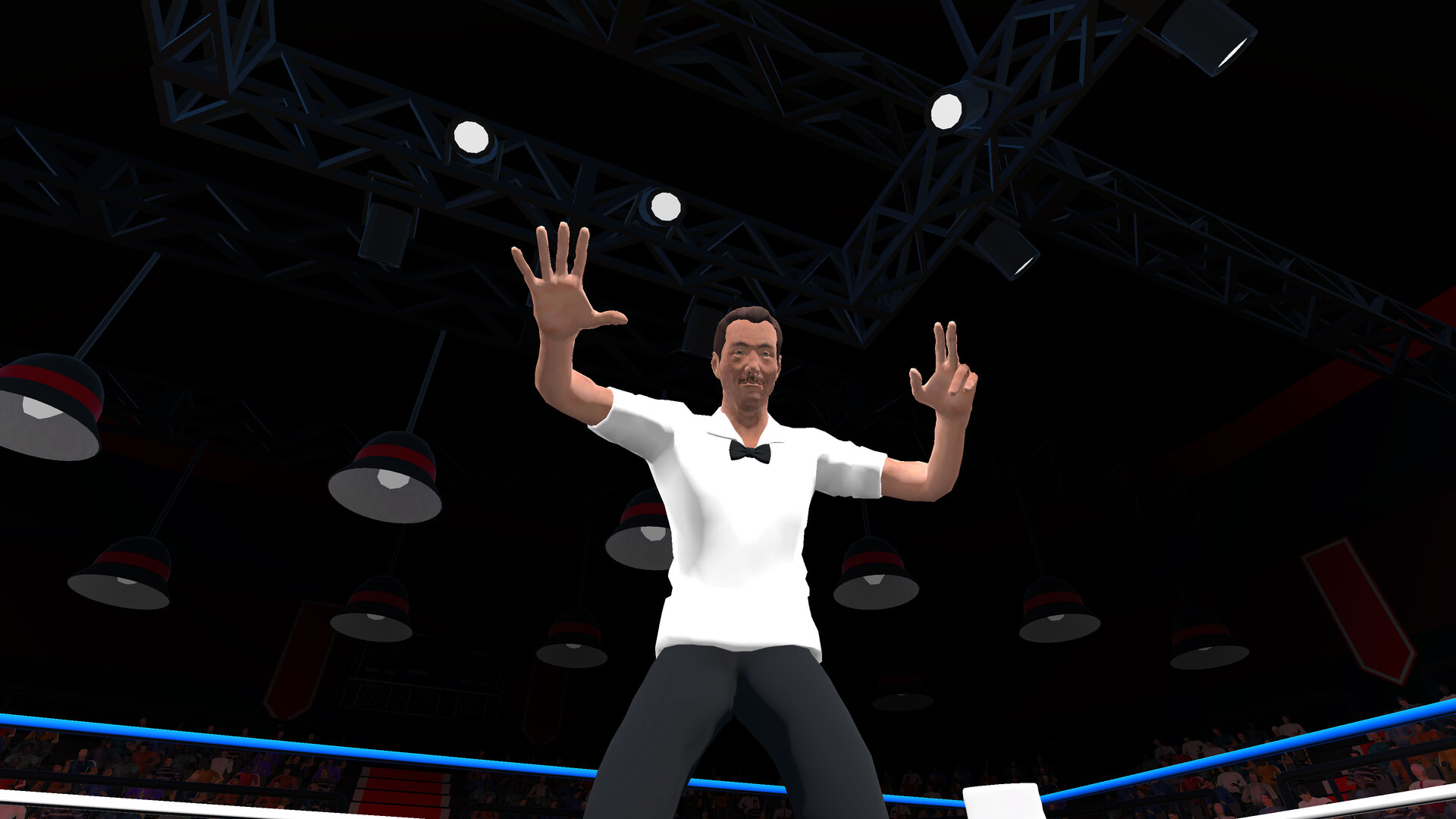 Pro Sports Boxing screenshot 8