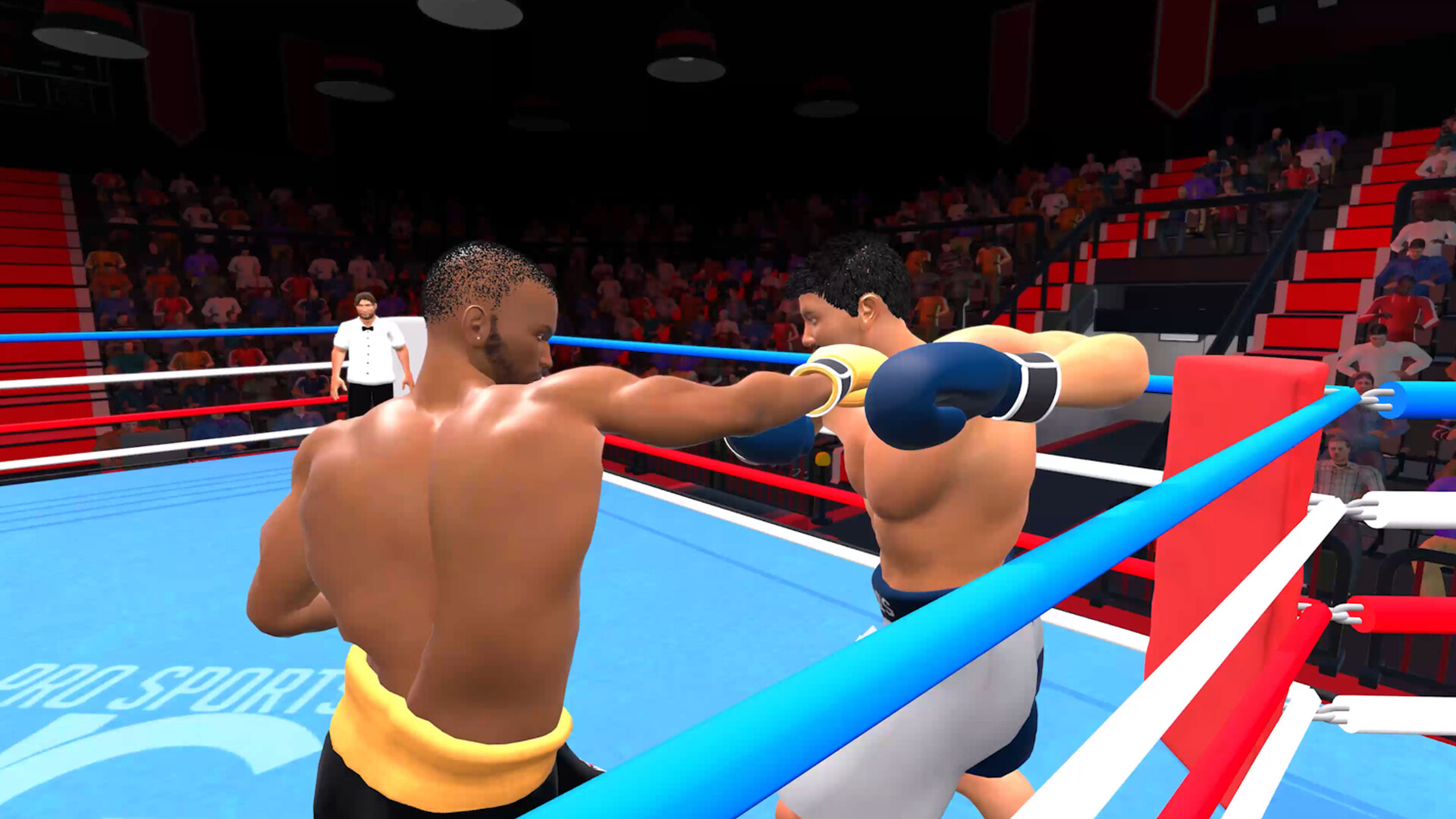 Pro Sports Boxing screenshot 5