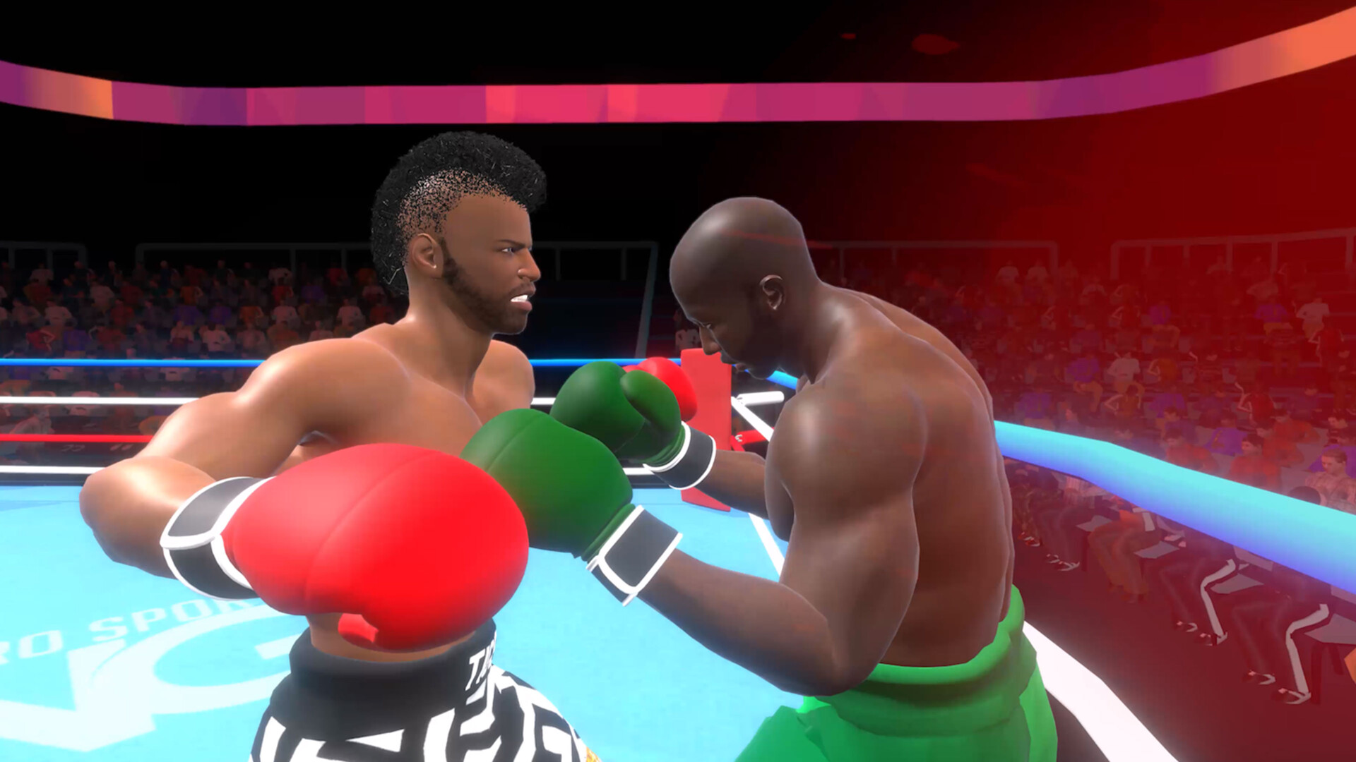 Pro Sports Boxing screenshot 7