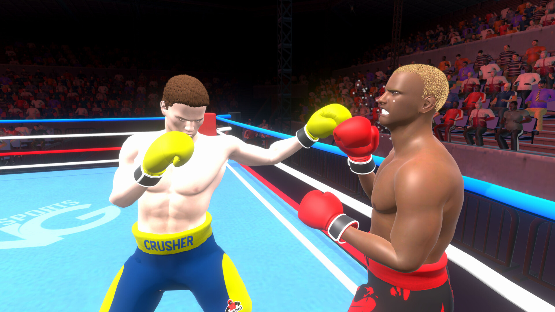 Pro Sports Boxing screenshot 12