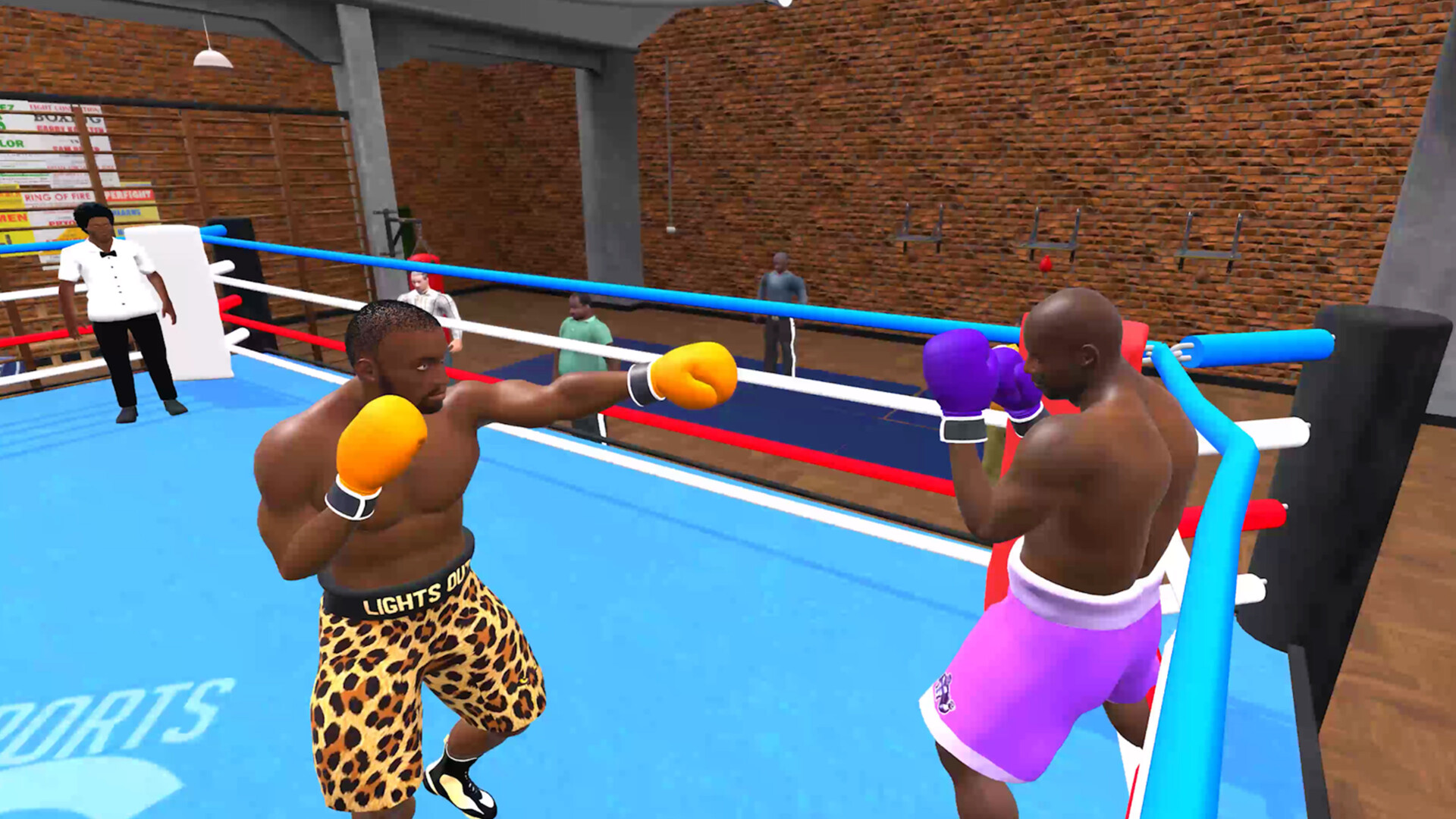 Pro Sports Boxing screenshot 10