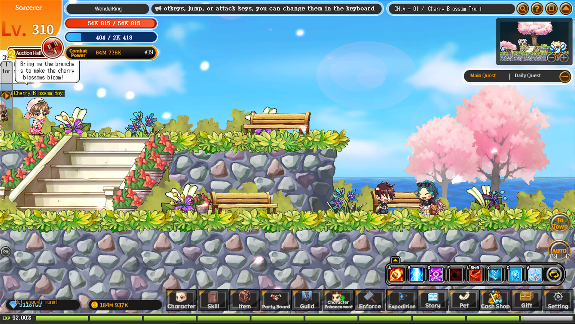 Wonderking WD screenshot 2