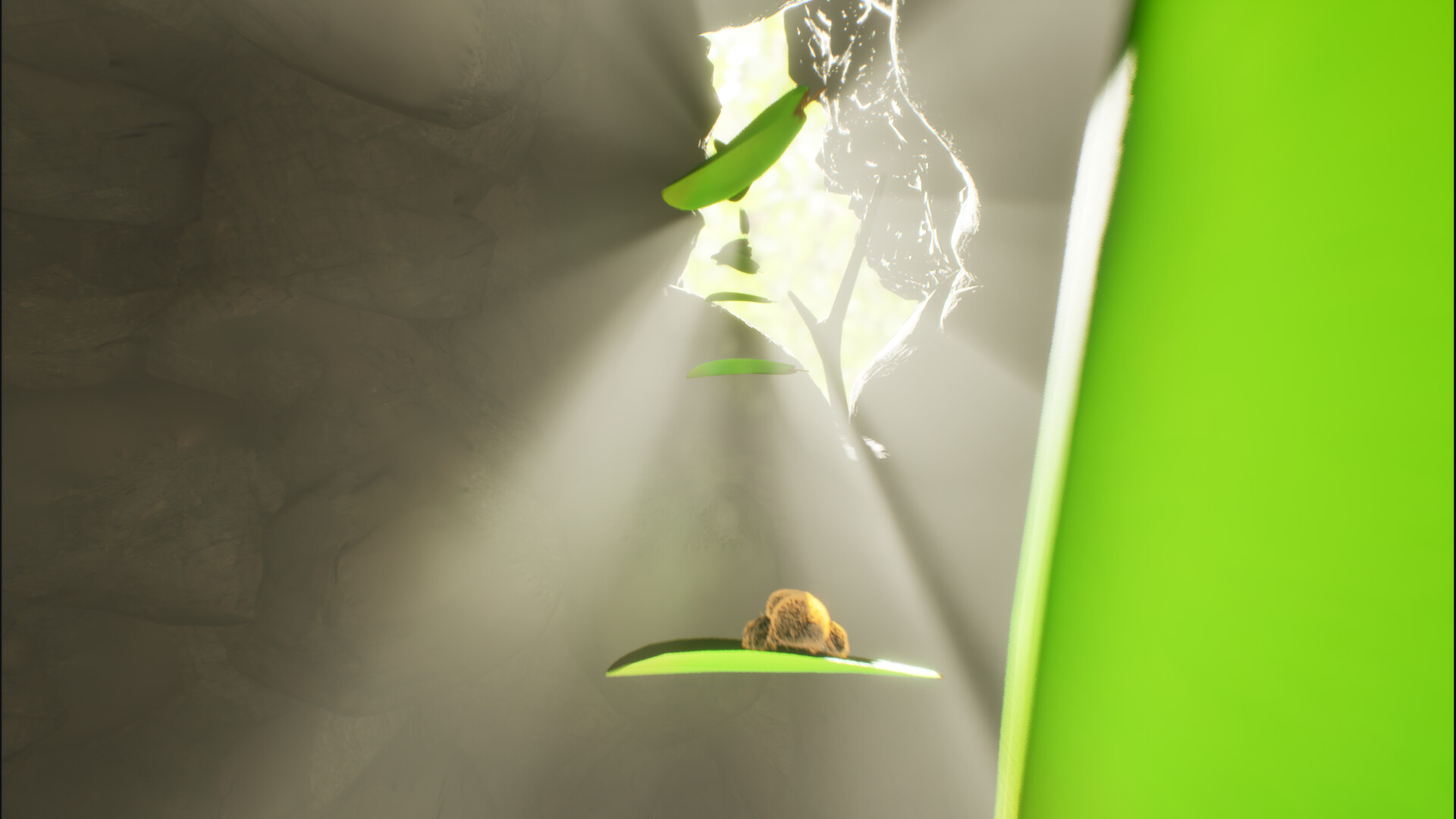 Weave & Wander screenshot 4
