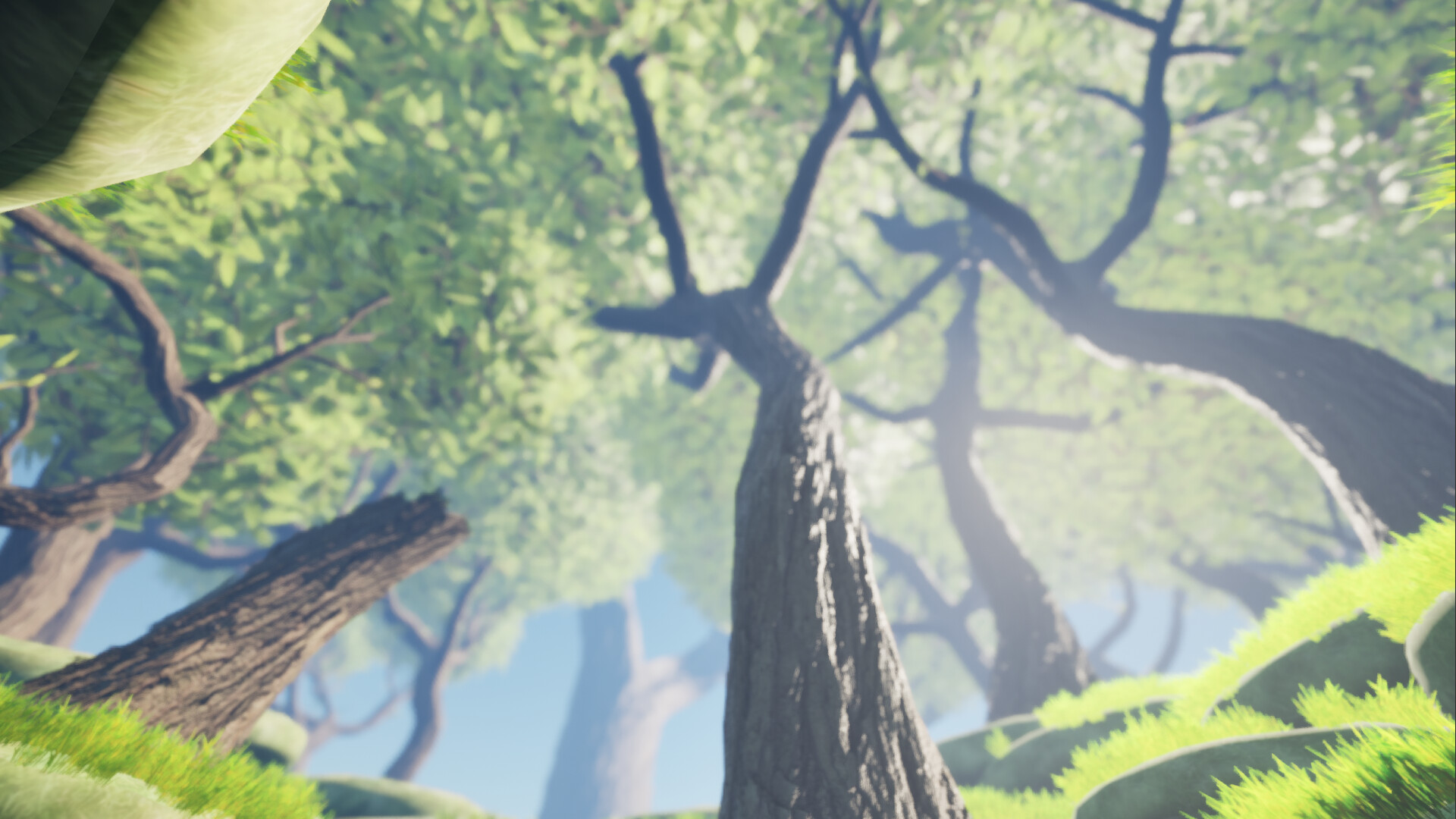 Weave & Wander screenshot 10