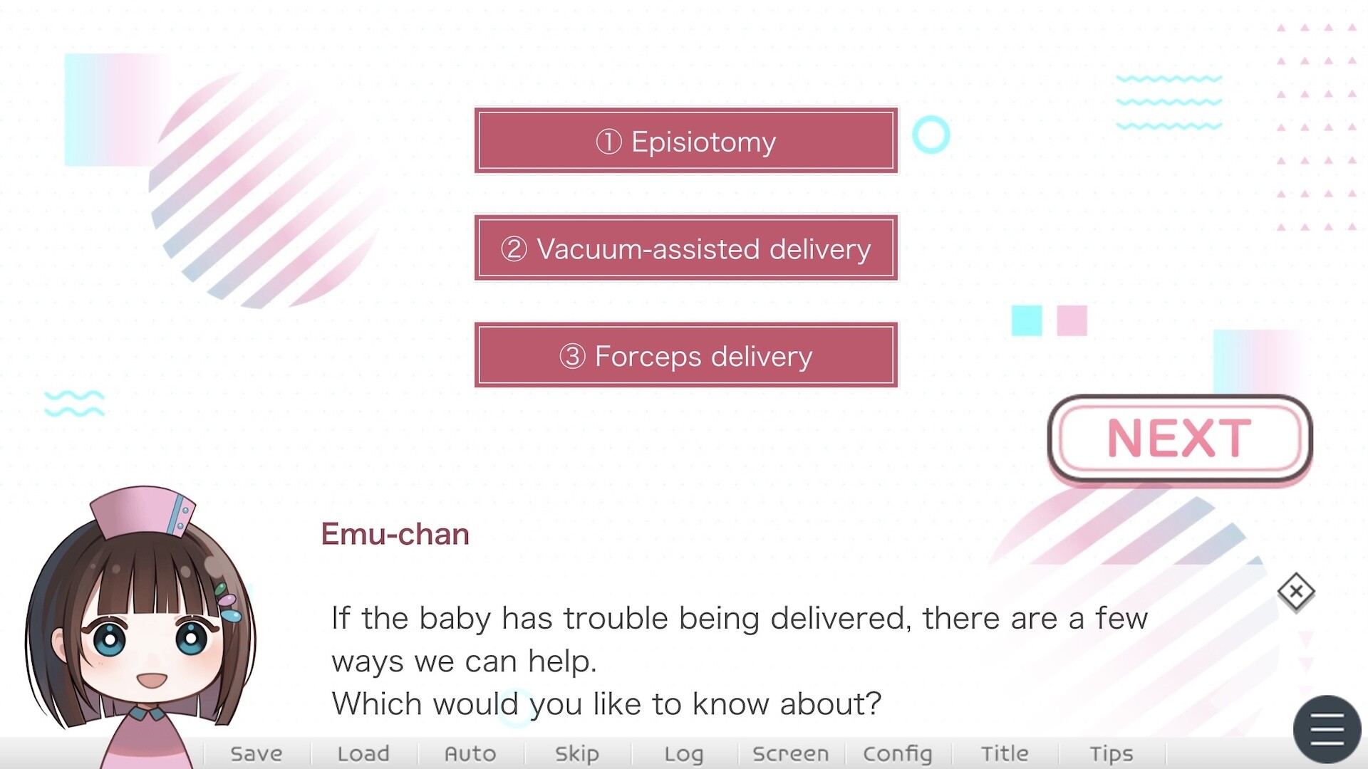 First Steps in Learning about Childbirth screenshot 3
