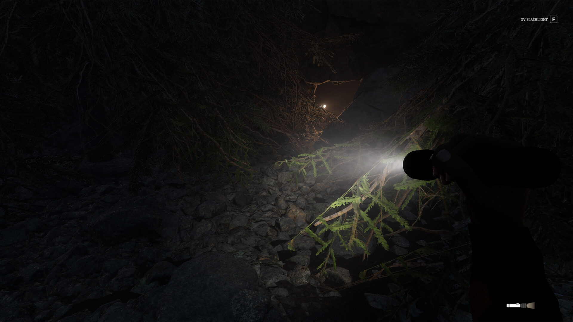 Appalachia screenshot 3