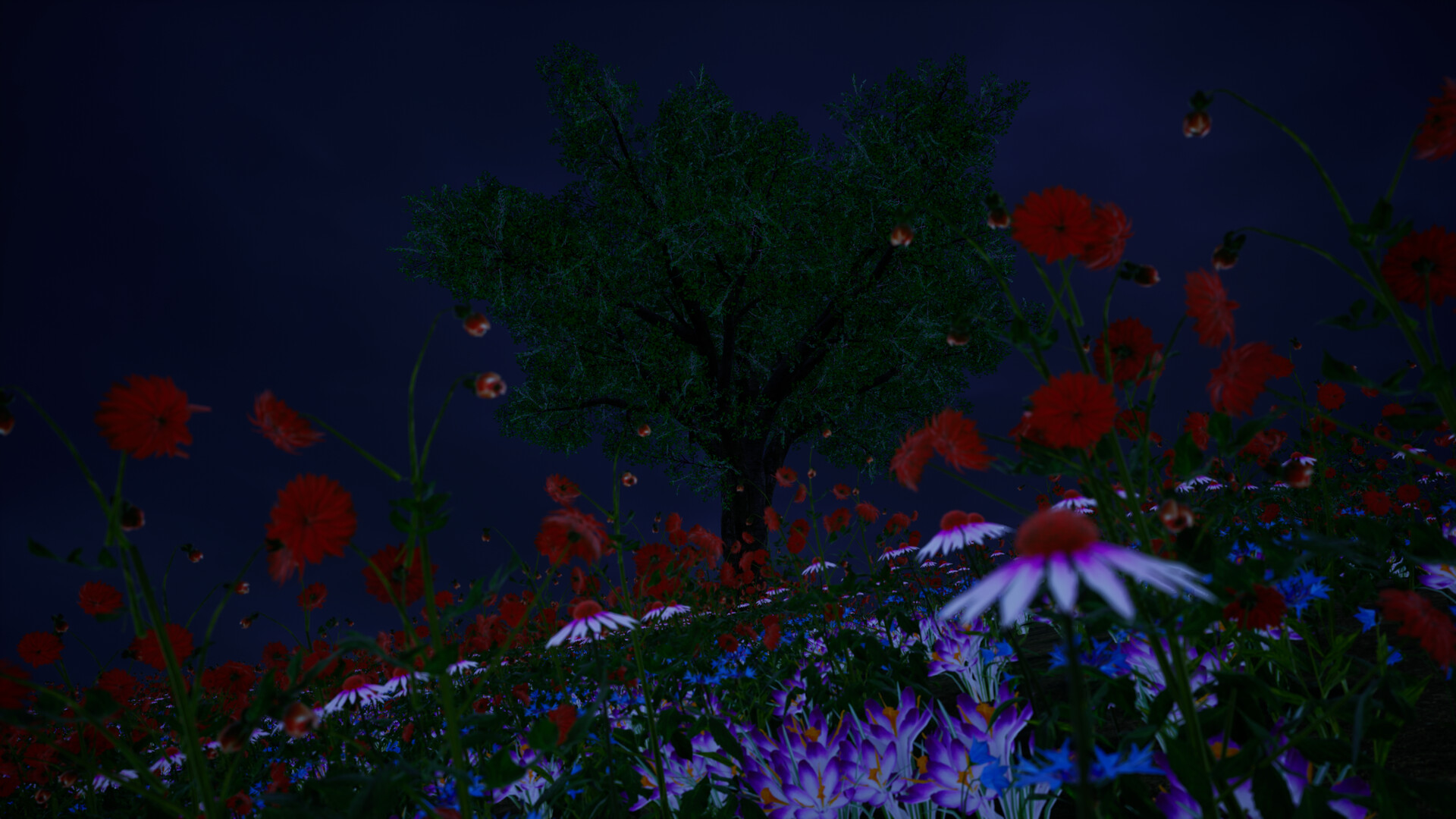 Somnara screenshot 4