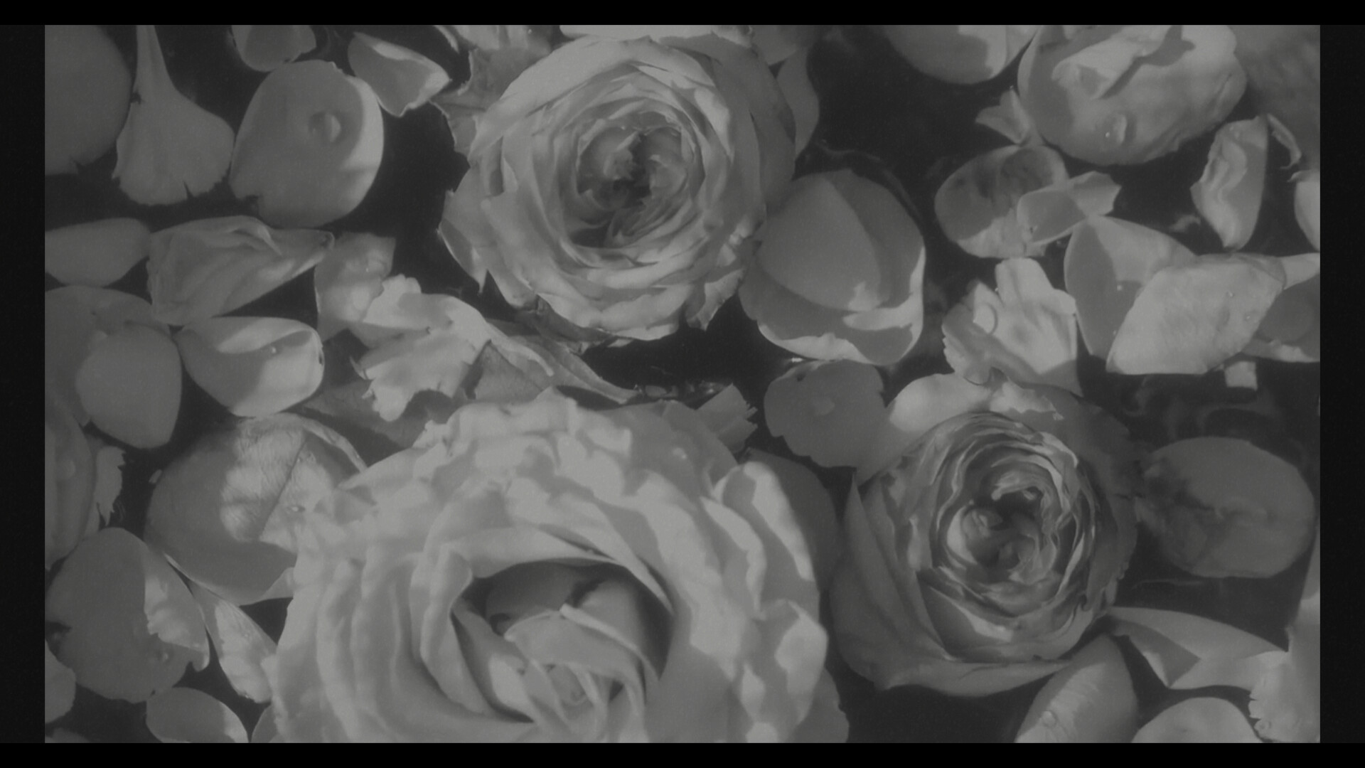 Divinuet screenshot 5