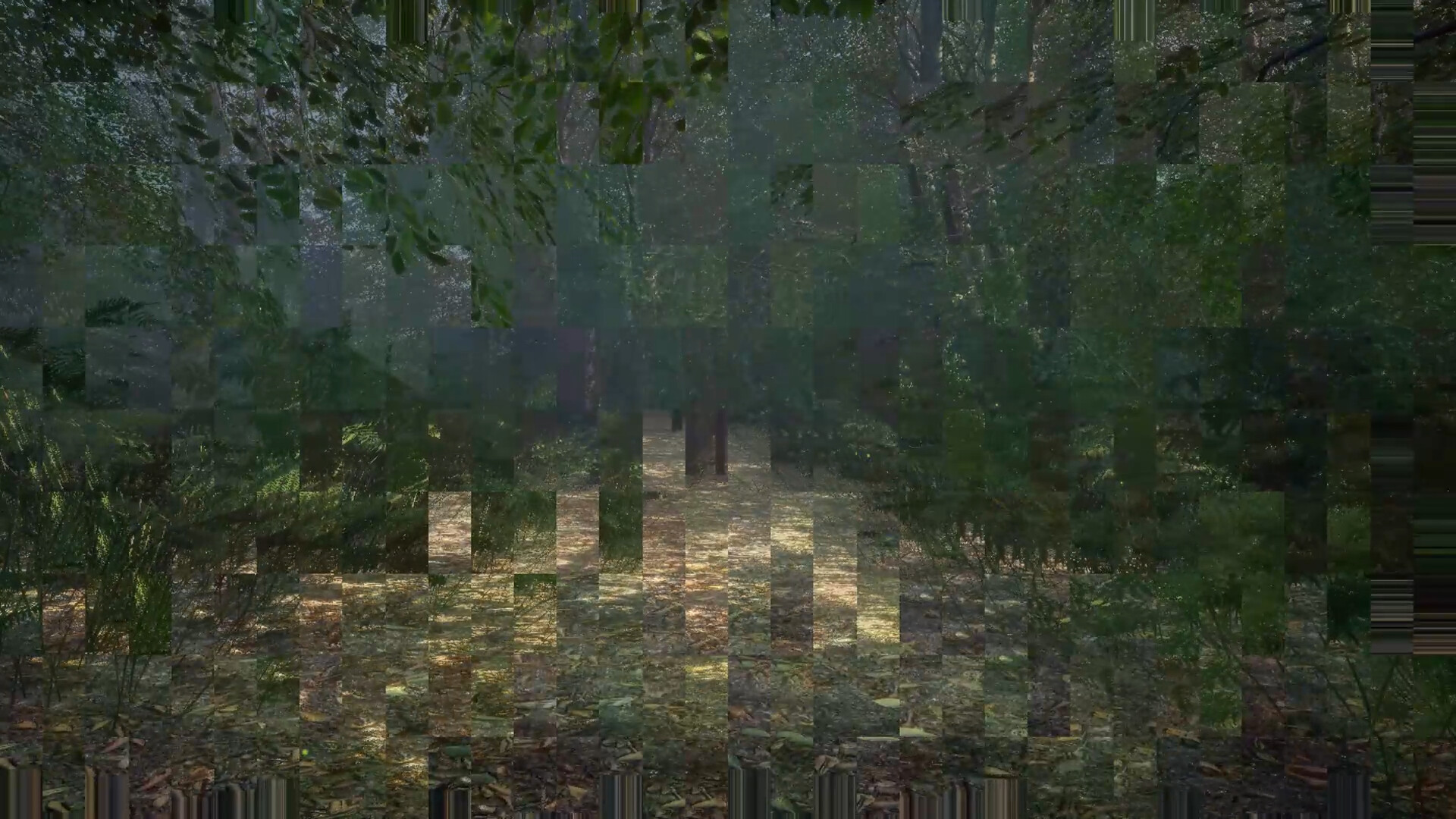 Obey the Rules: Forest screenshot 4