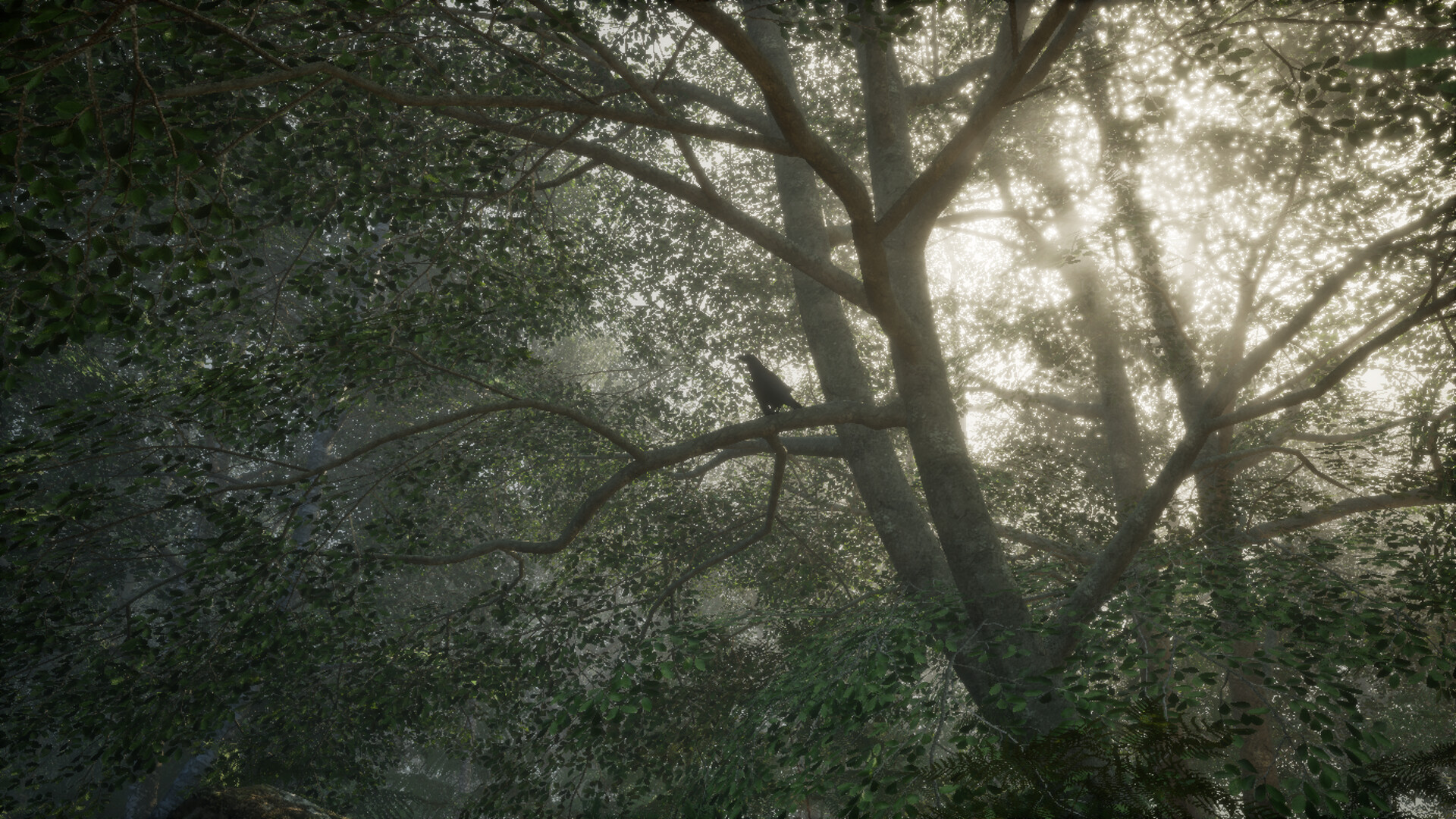 Obey the Rules: Forest screenshot 6