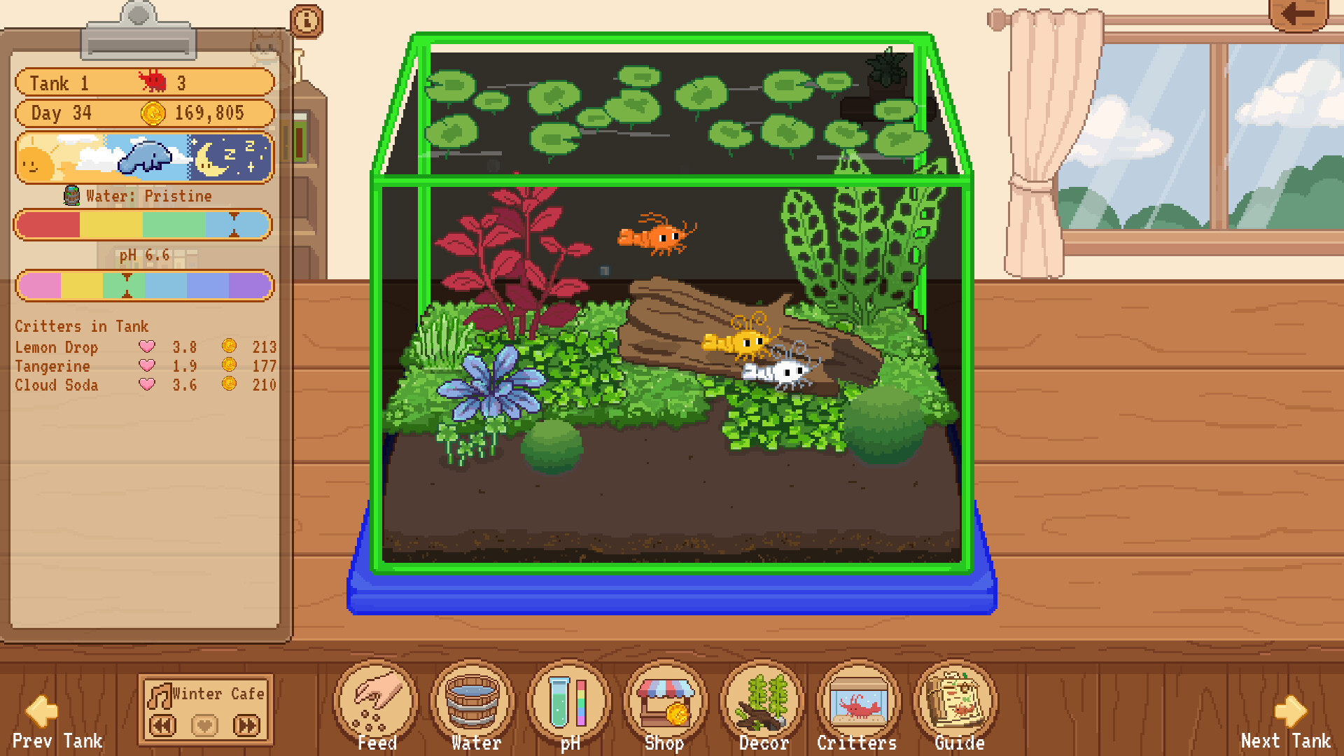 Tiny Glass Tank: Dwarf Shrimp and Friends screenshot 6