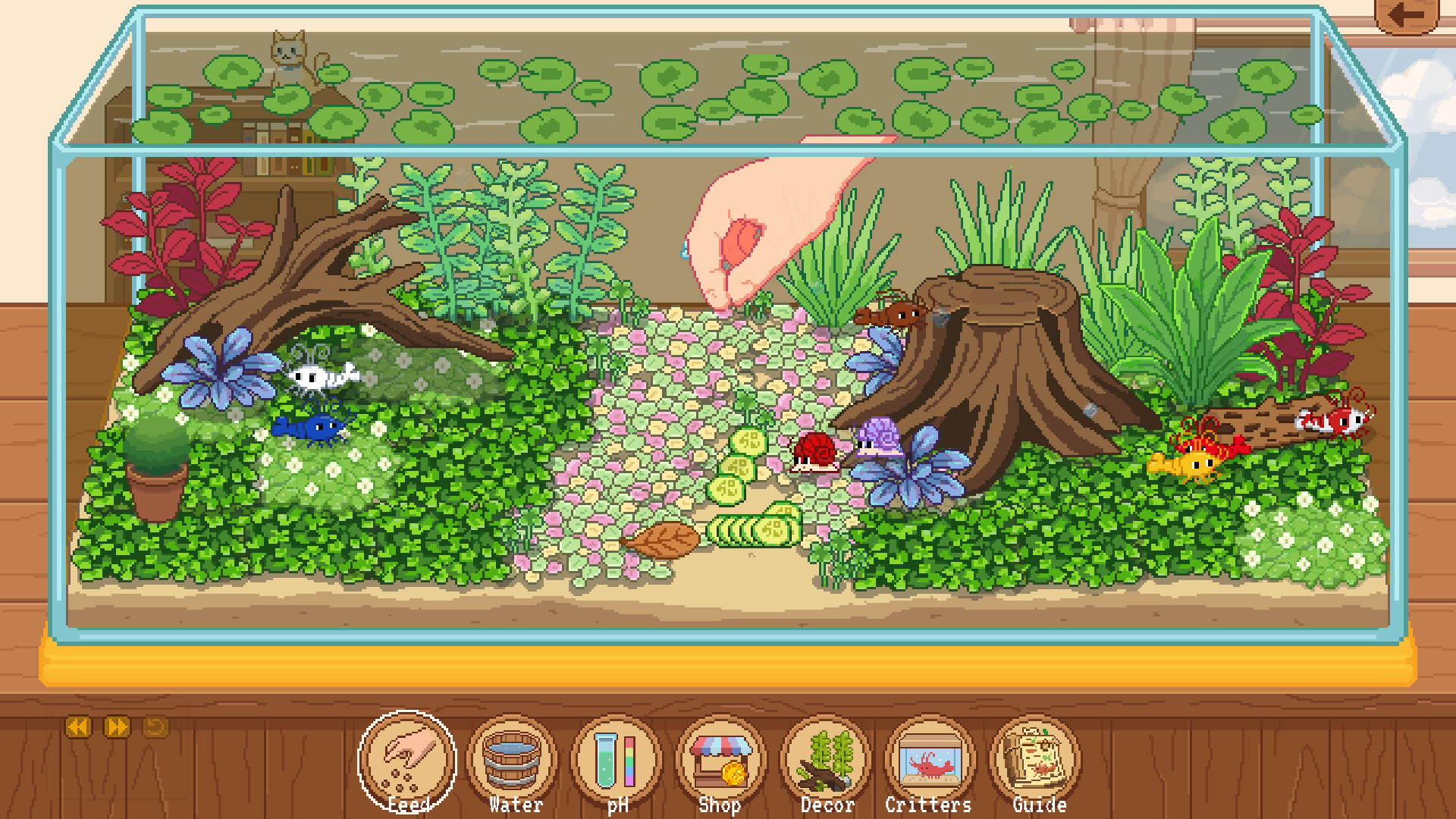 Tiny Glass Tank: Dwarf Shrimp and Friends screenshot 2