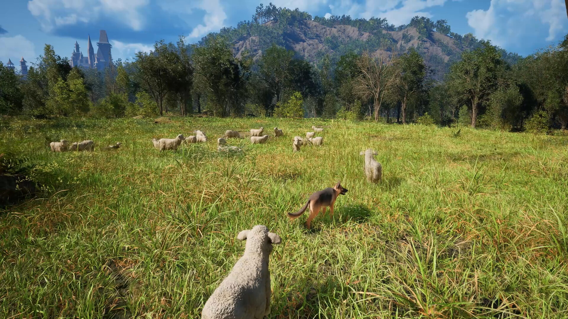 Medieval Shepherd screenshot 1