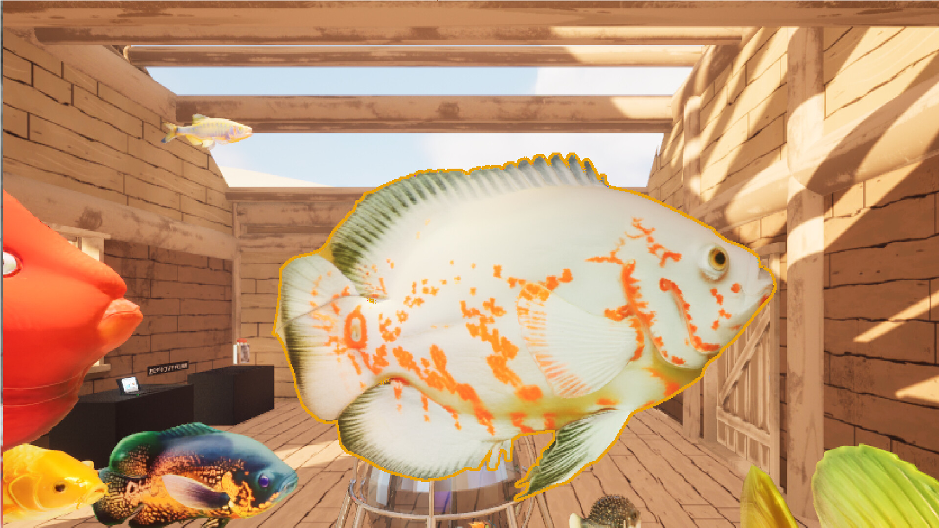 free as fish screenshot 10