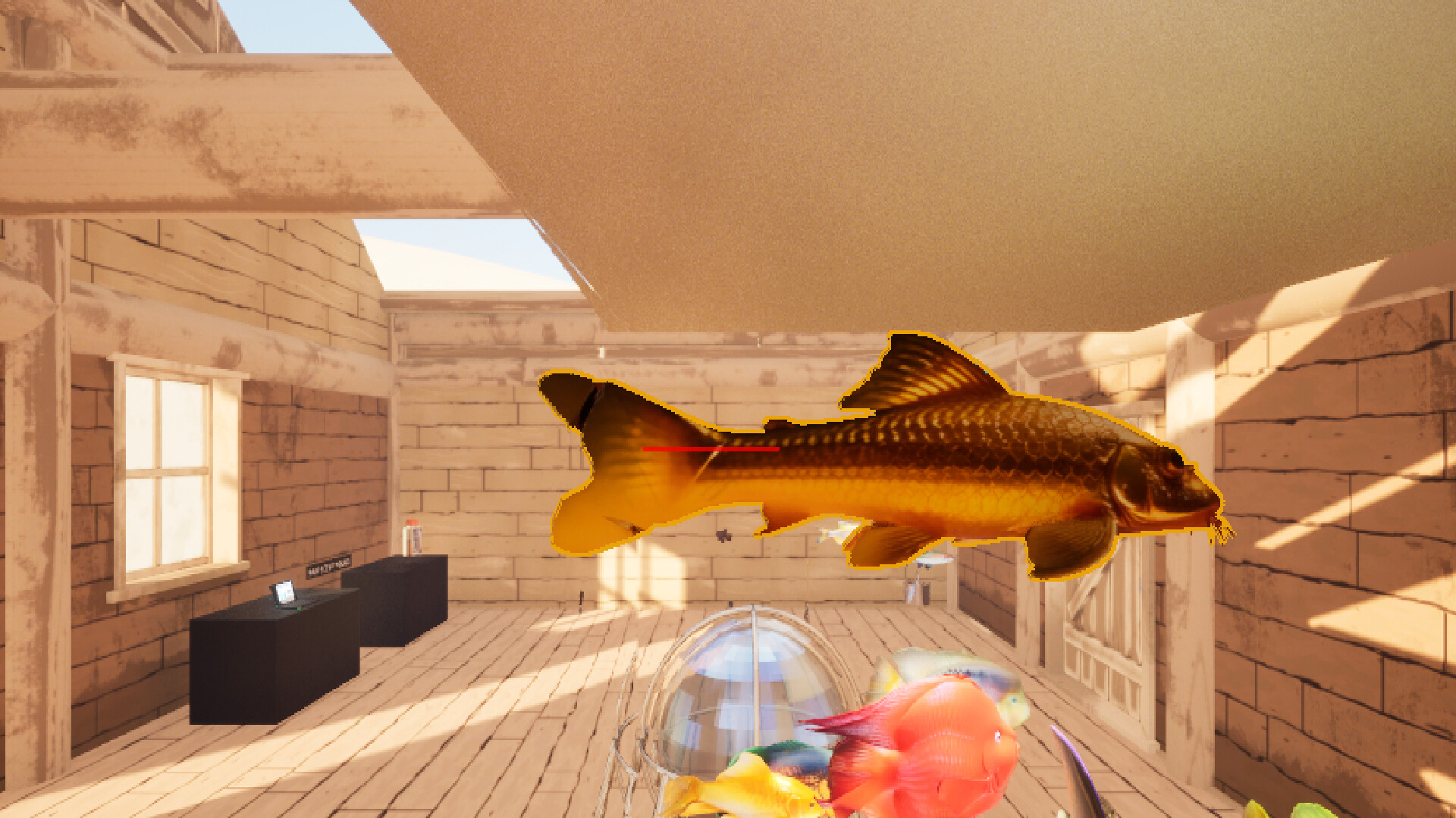free as fish screenshot 11