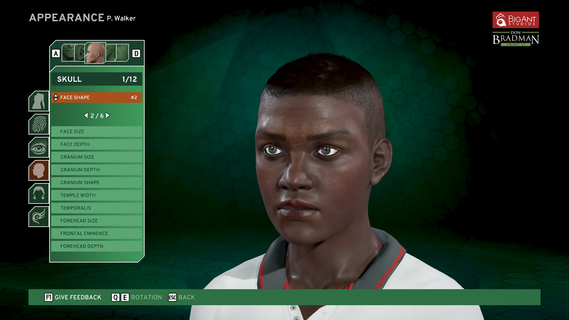 Don Bradman Cricket 17 Demo screenshot 5