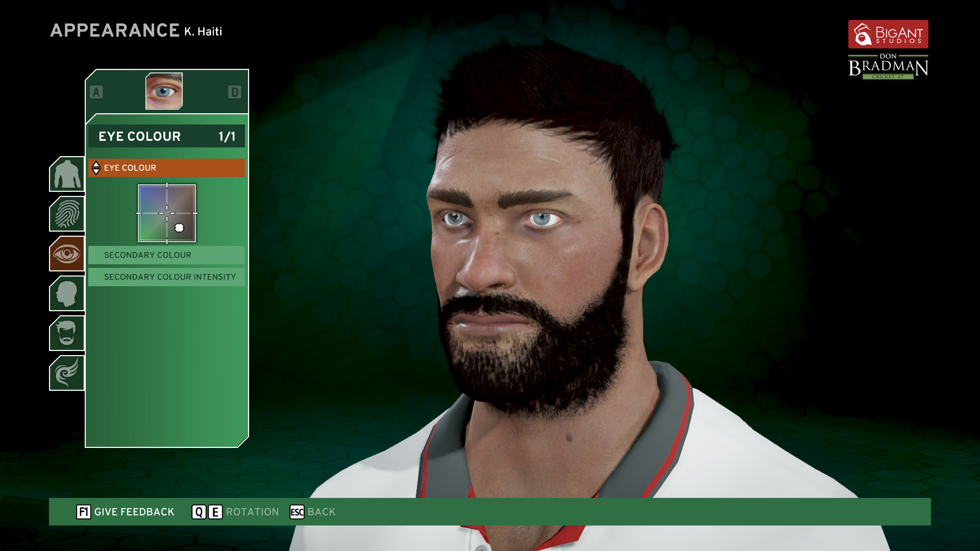 Don Bradman Cricket 17 Demo screenshot 7