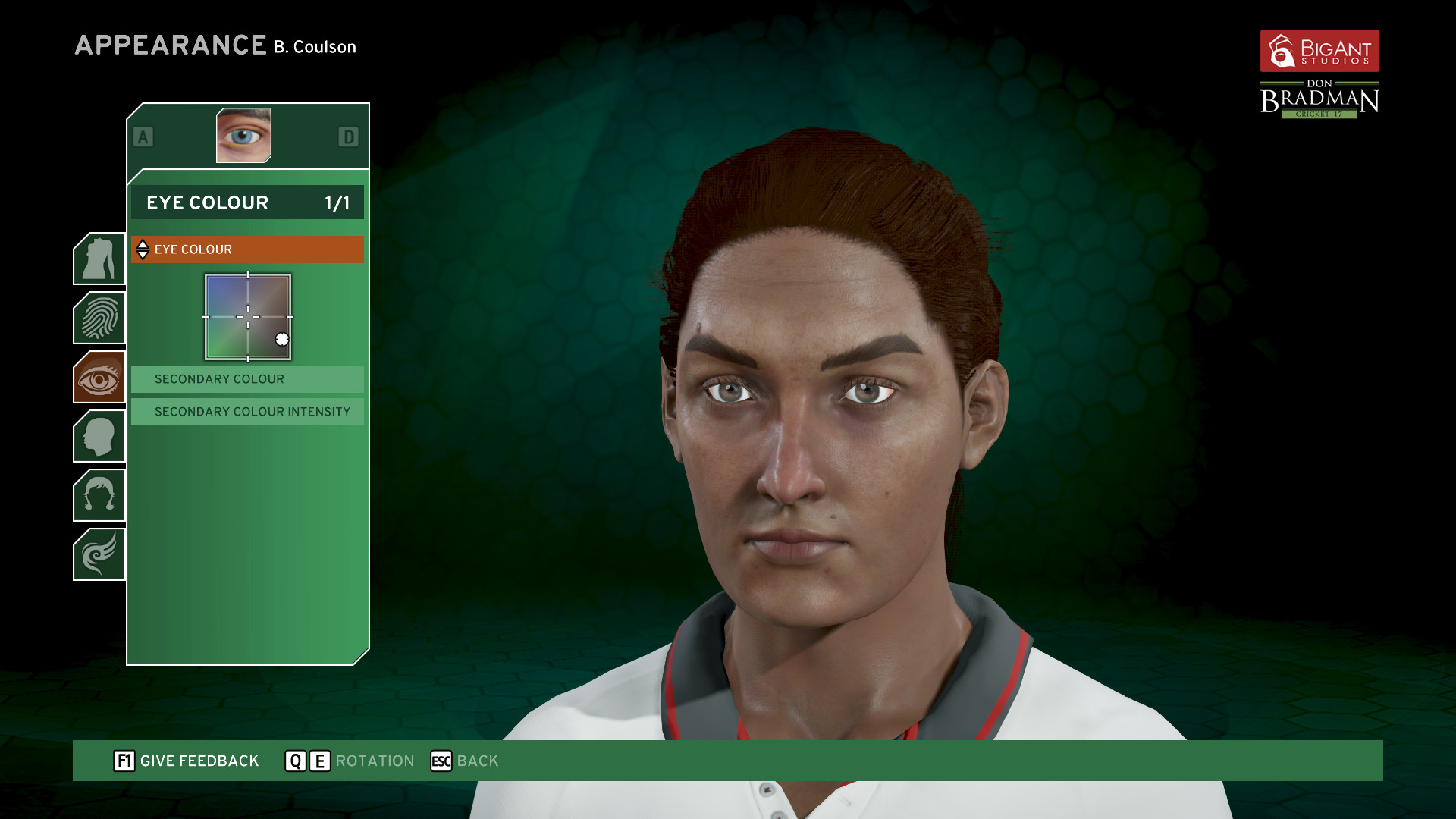 Don Bradman Cricket 17 Demo screenshot 12