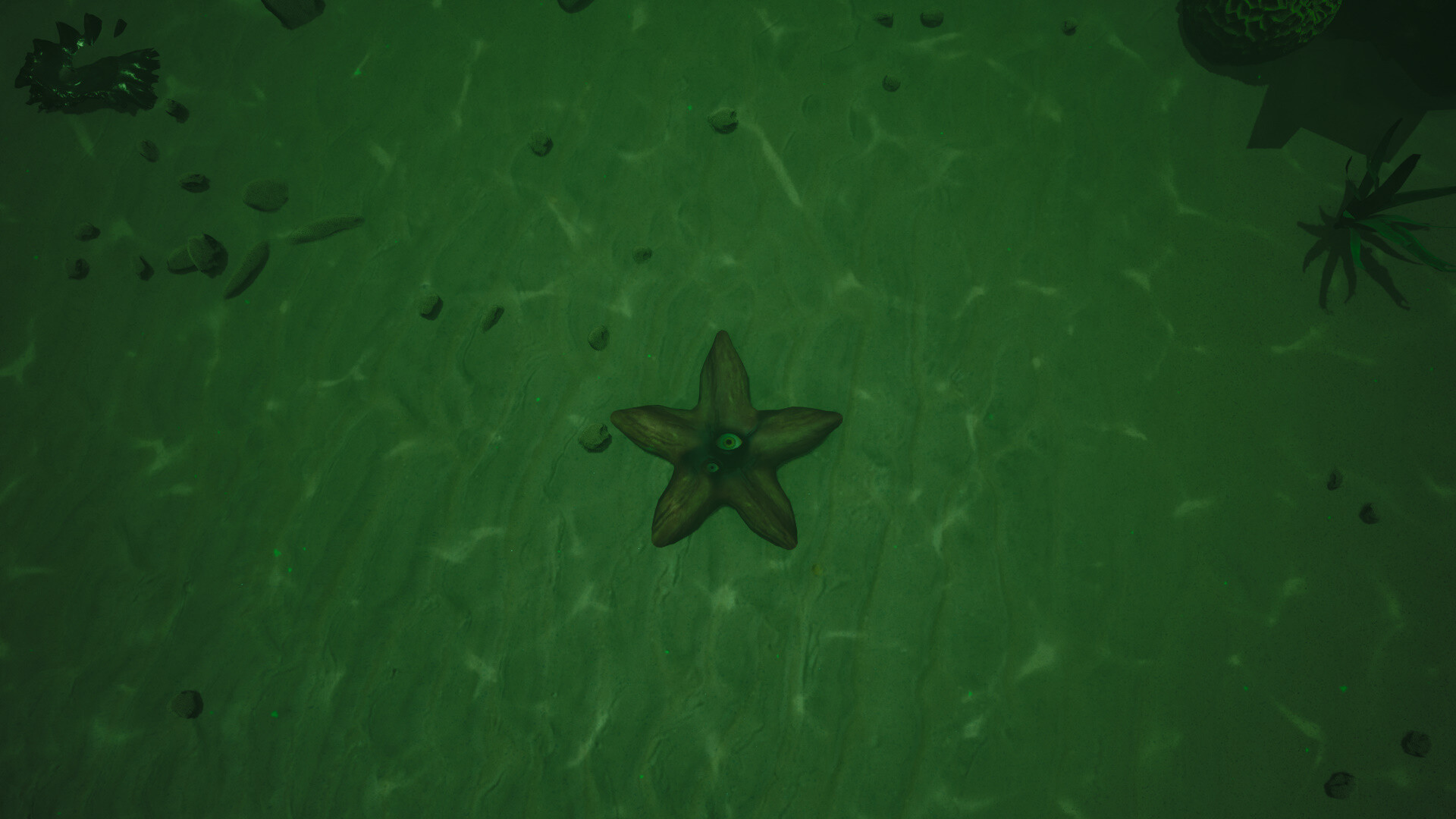 Starfish Simulator 👍 screenshot 8