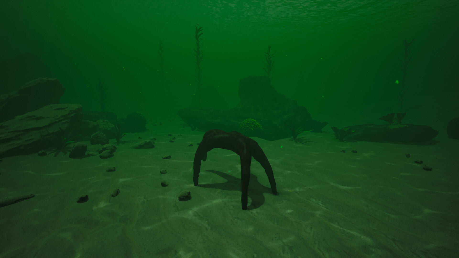 Starfish Simulator ๐ screenshot 3